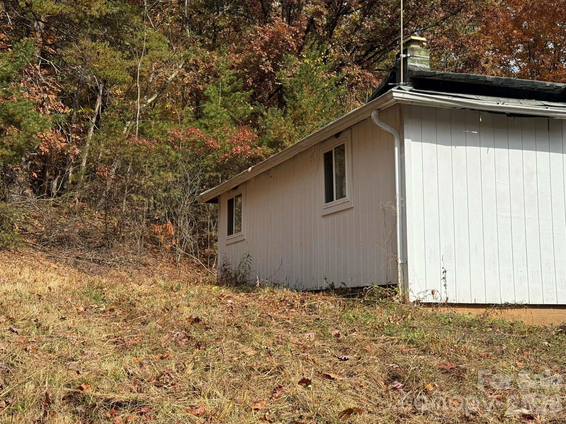 3102 Cove Road - Photo 5