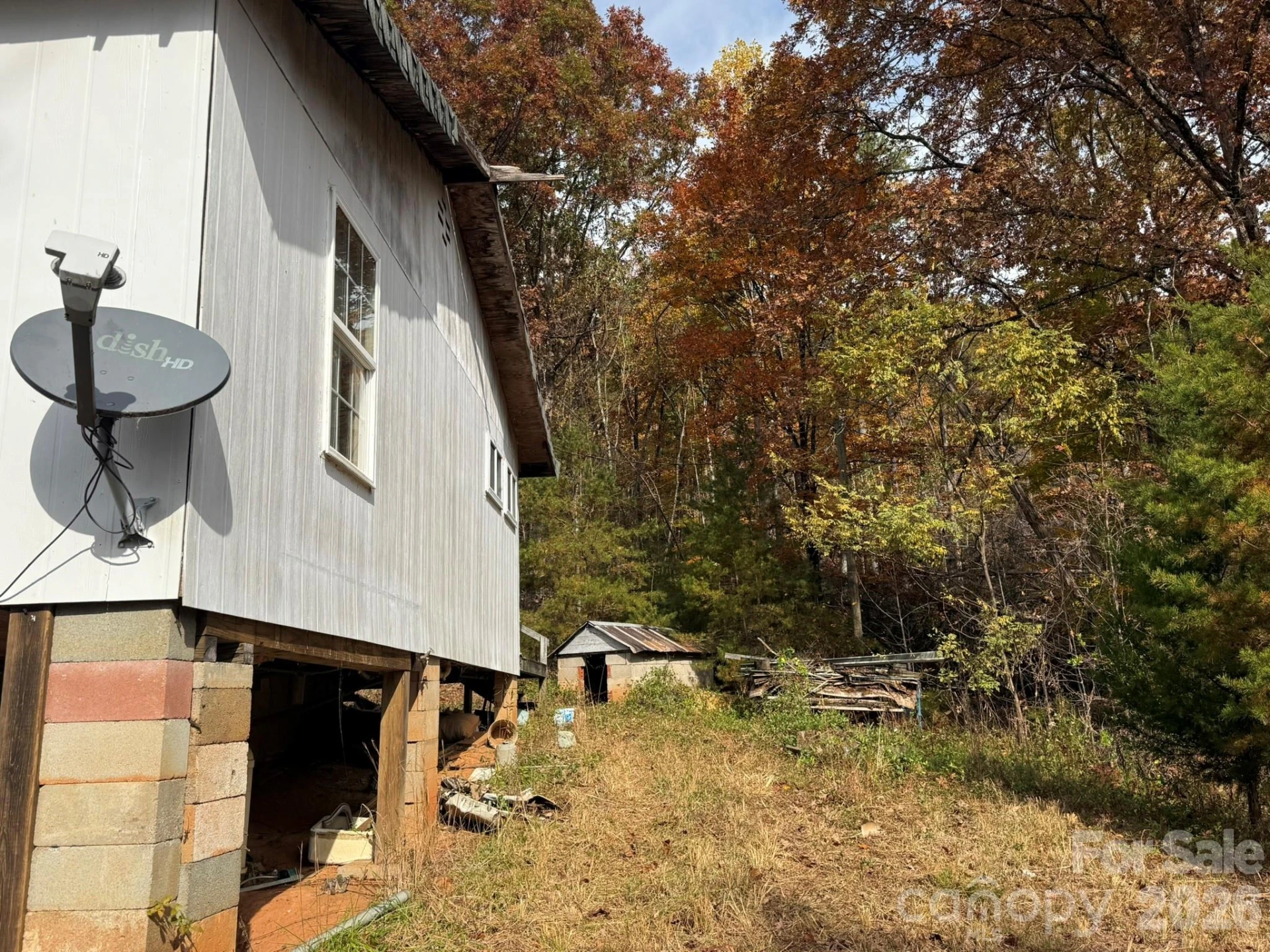 3102 Cove Road - Photo 6