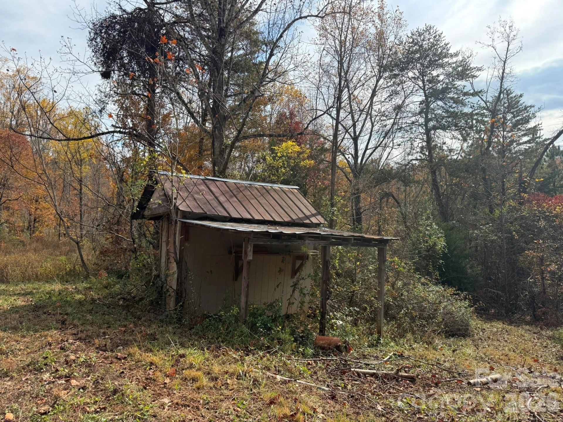 3102 Cove Road - Photo 7