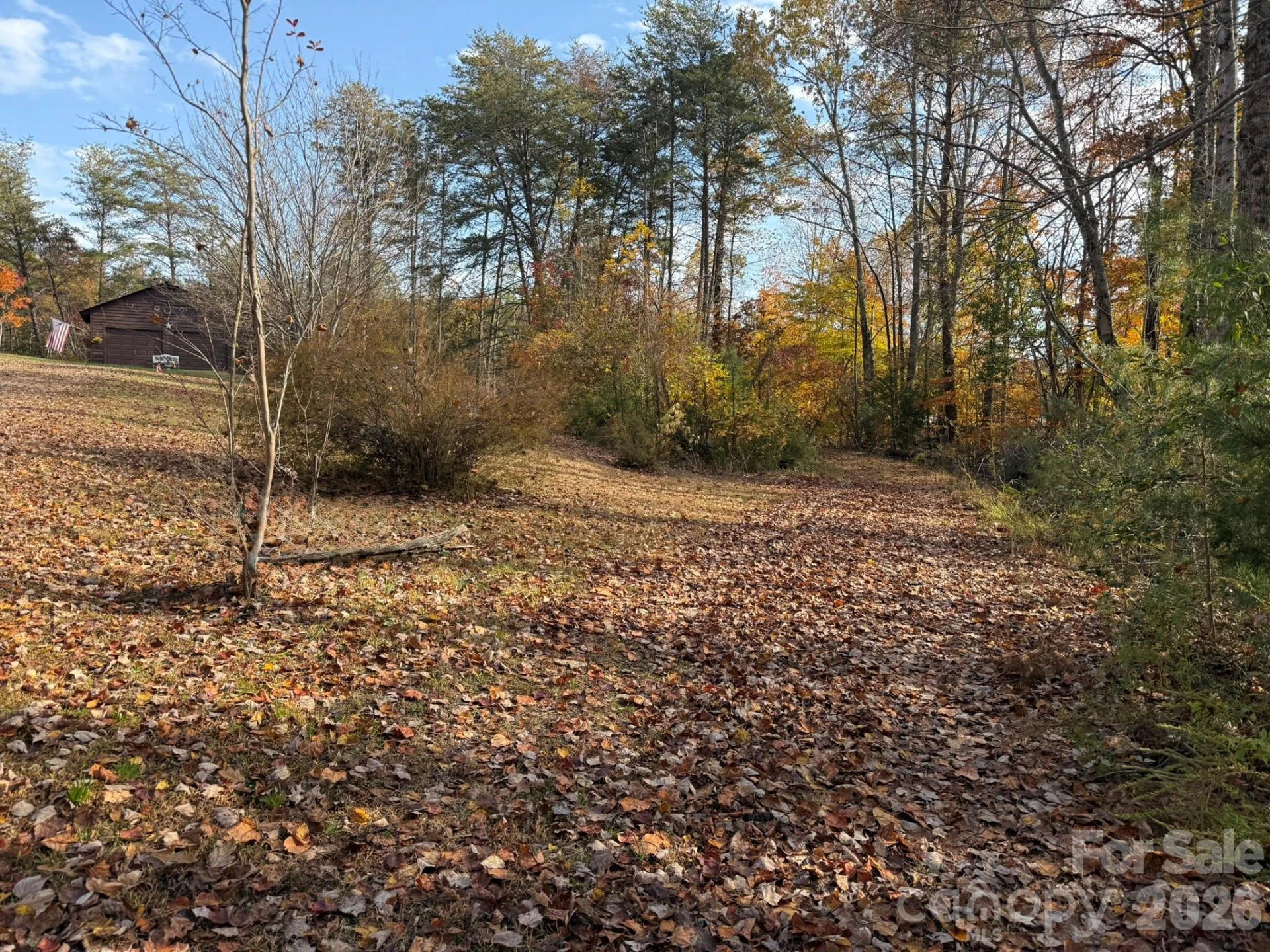 3102 Cove Road - Photo 8