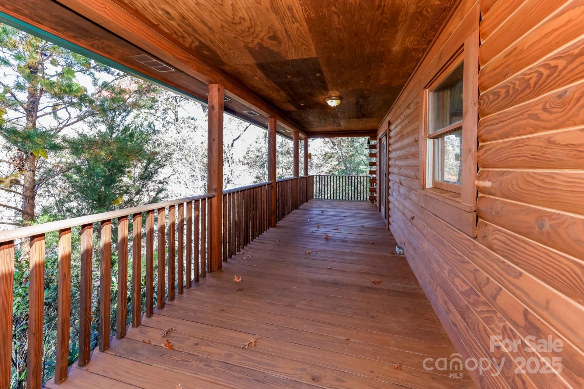 114 Birddog Boulevard - Photo 14