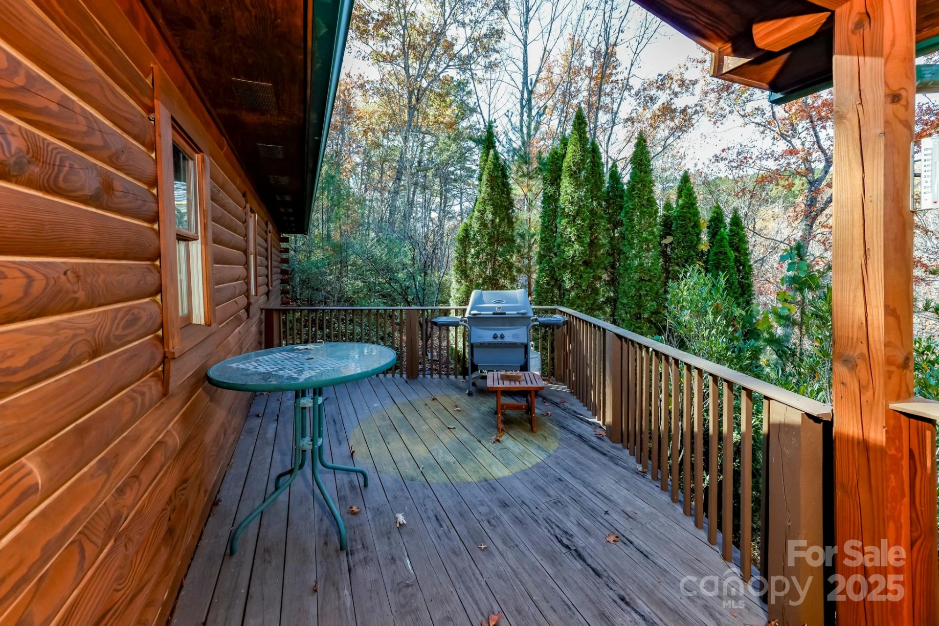 114 Birddog Boulevard - Photo 15
