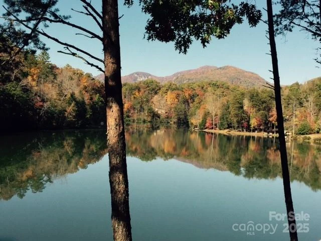 114 Birddog Boulevard - Photo 27
