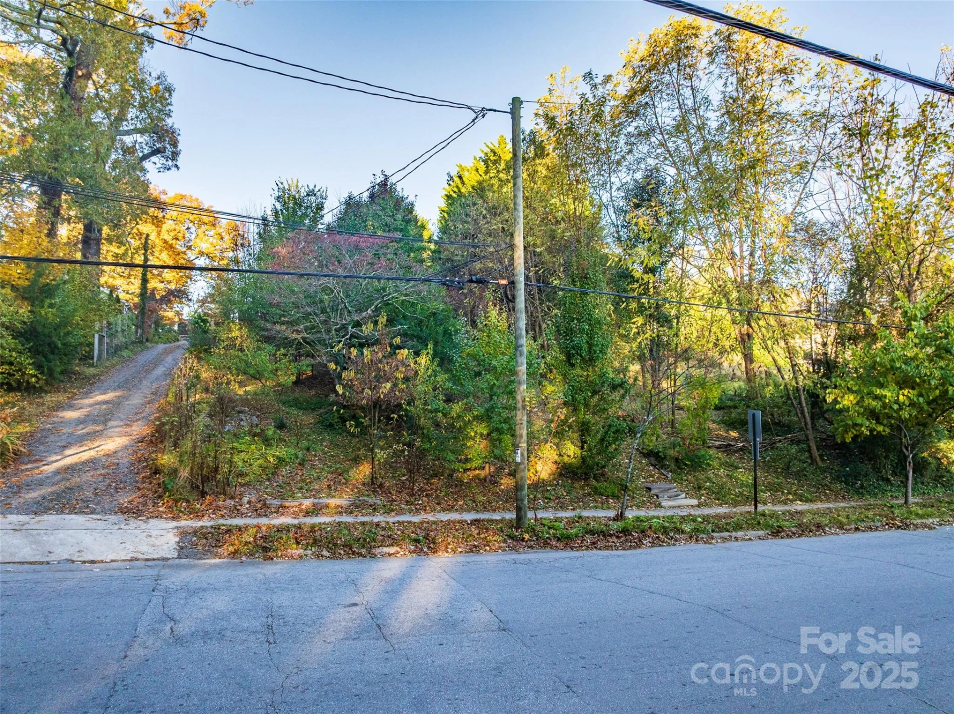 273 S French Broad Avenue #3&4 - Photo 5
