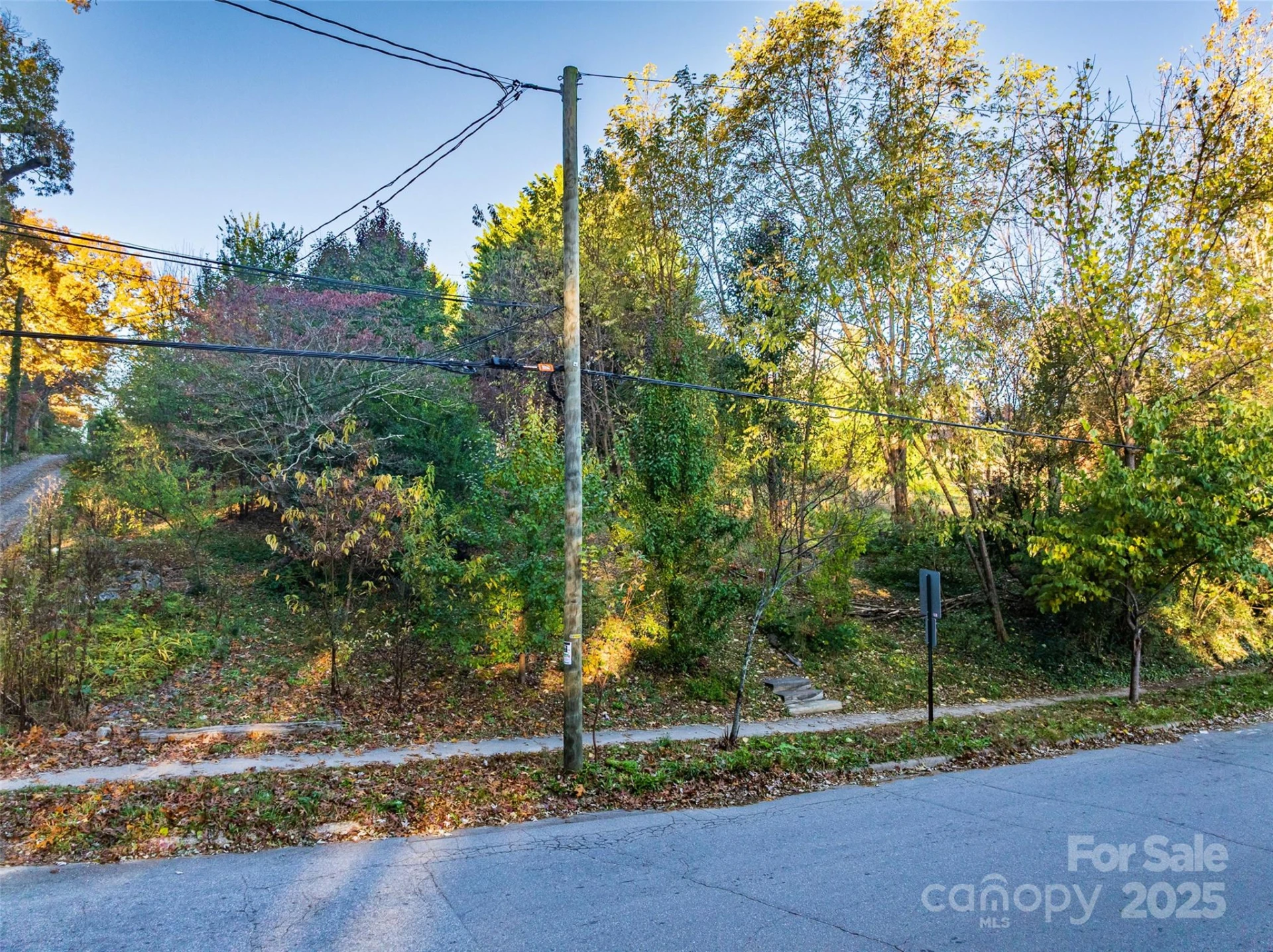 273 S French Broad Avenue #3&4 - Photo 10