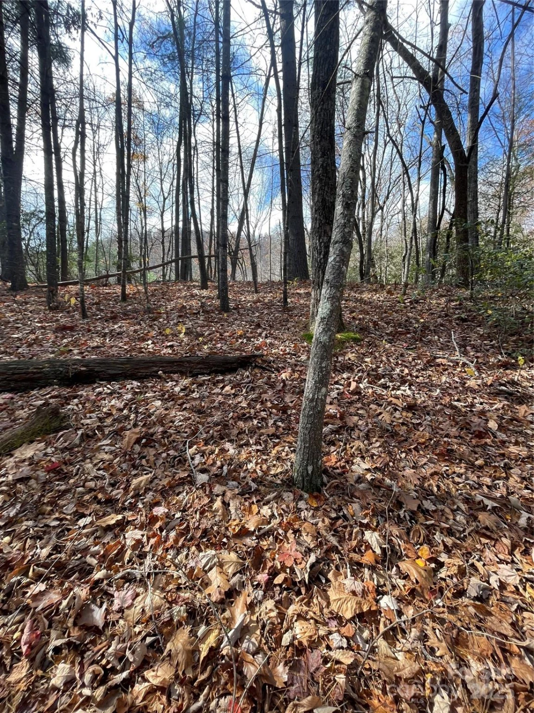 00 Pinnacle Falls Lane - Photo 7