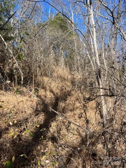 TBD Bend View Drive - Photo 8