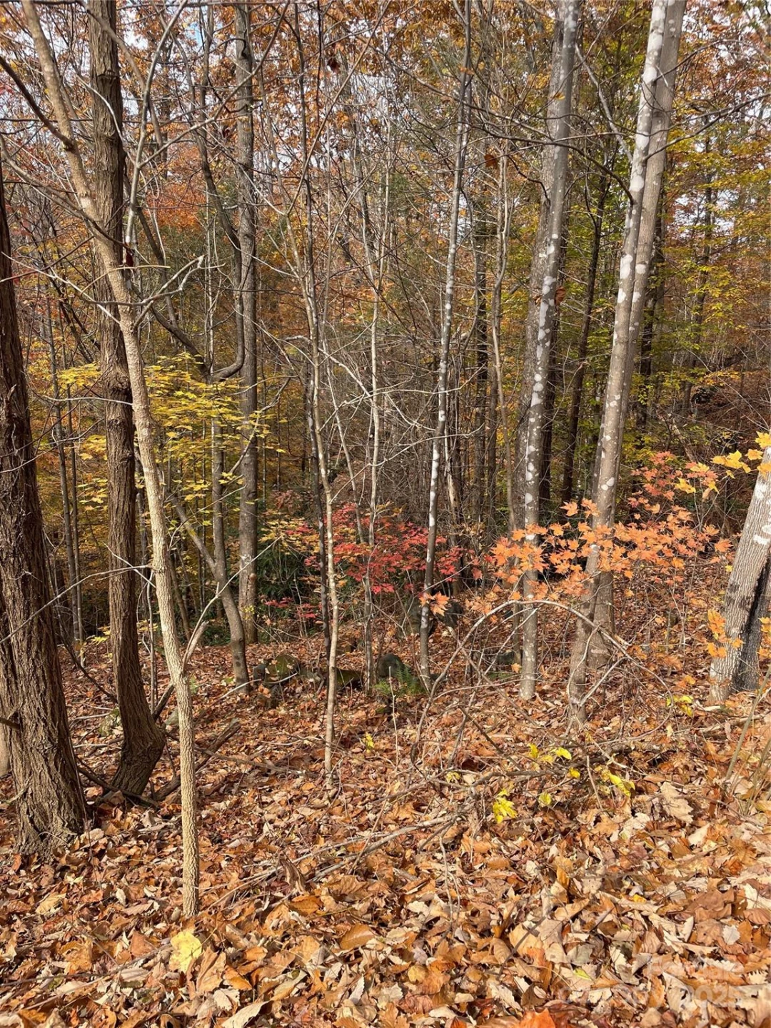 V/L Lot 72 & 170 Black Lark Drive - Photo 14