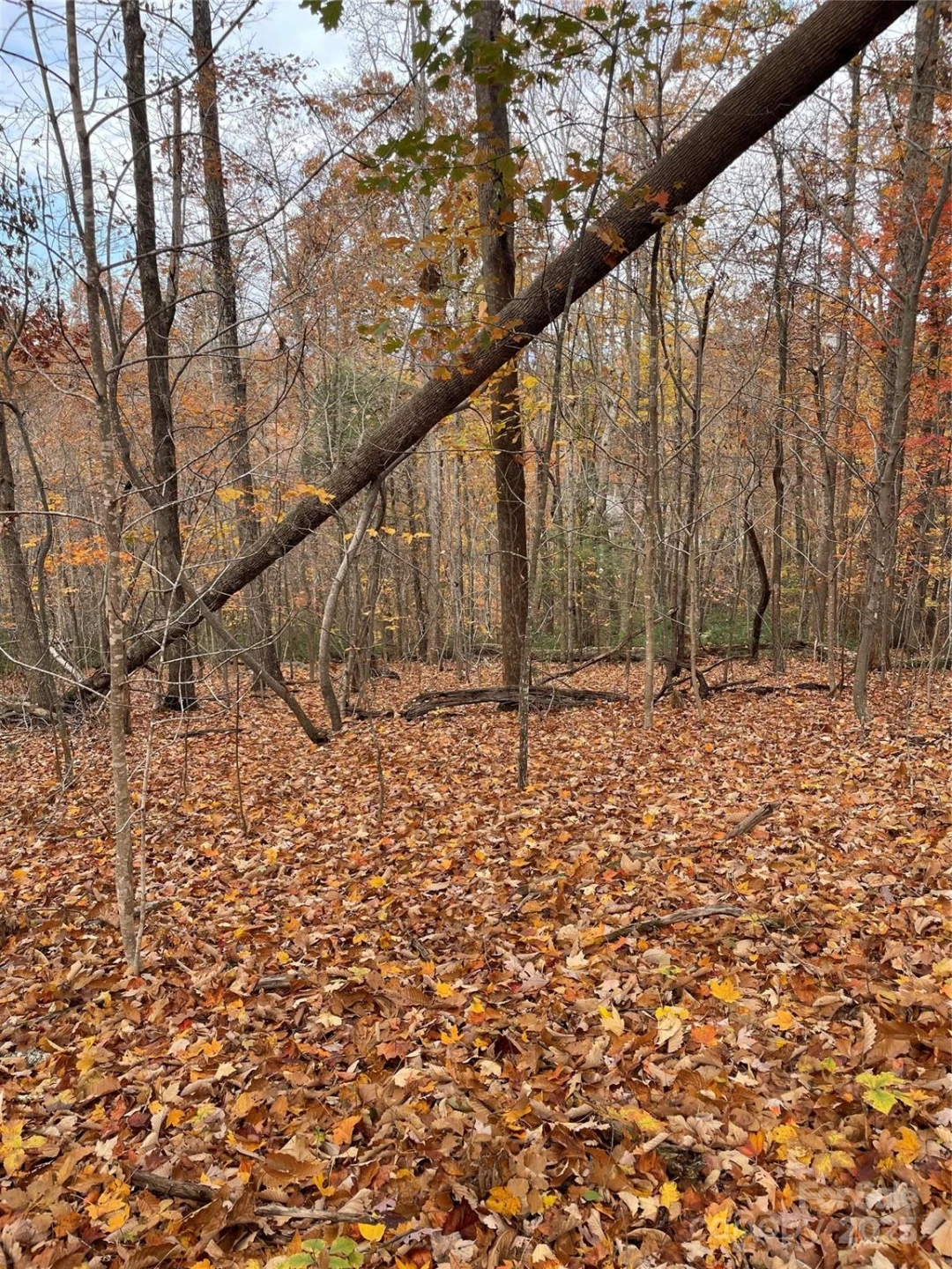 V/L Lot 72 & 170 Black Lark Drive - Photo 21