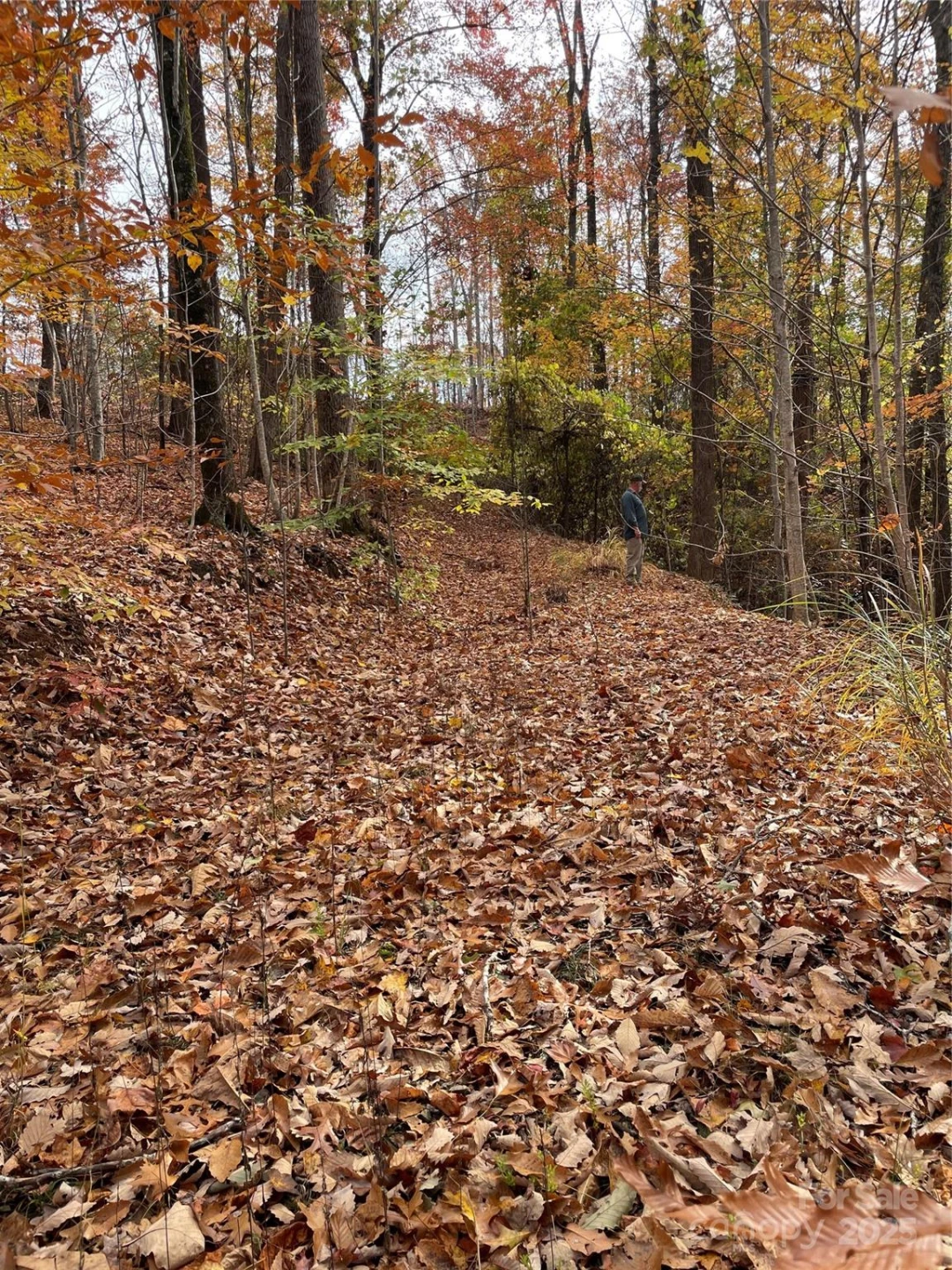 V/L Lot 72 & 170 Black Lark Drive - Photo 23