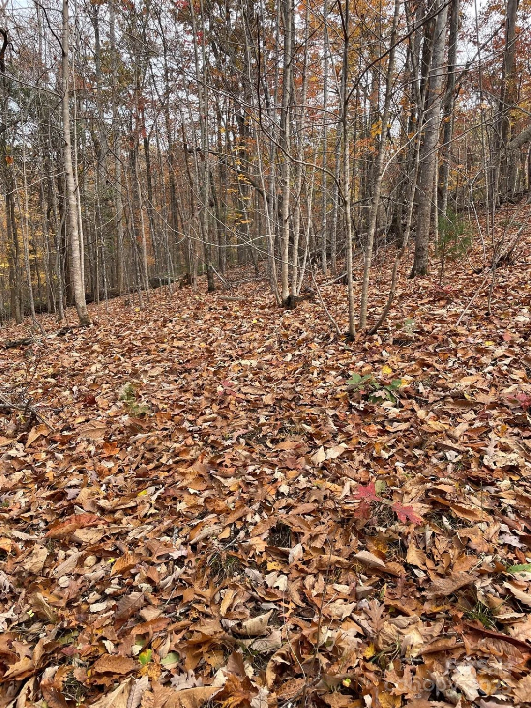 V/L Lot 72 & 170 Black Lark Drive - Photo 34