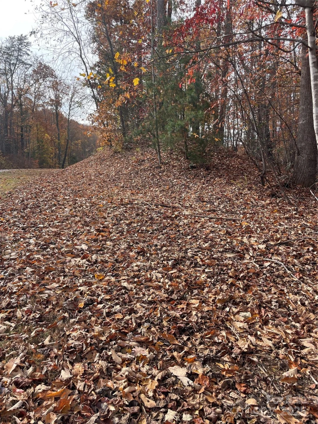 V/L Lot 72 & 170 Black Lark Drive - Photo 9