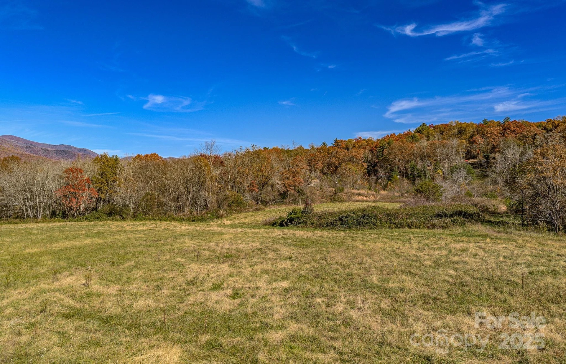 195 Access Road - Photo 7