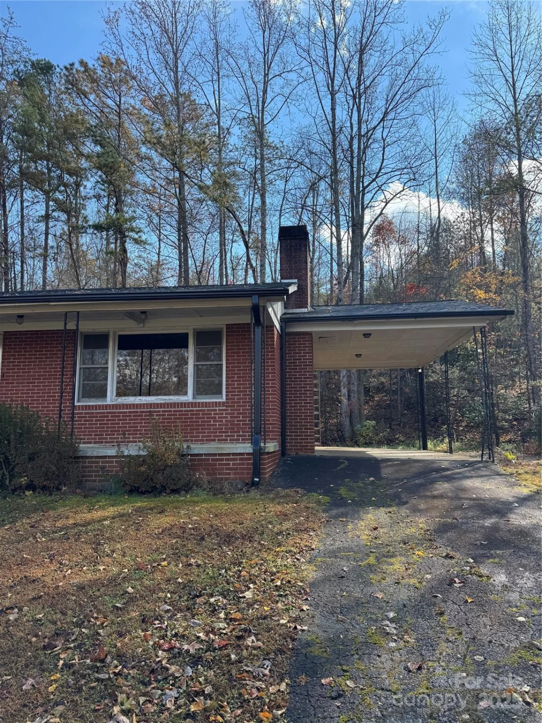 5046 Old Linville Road - Photo 3