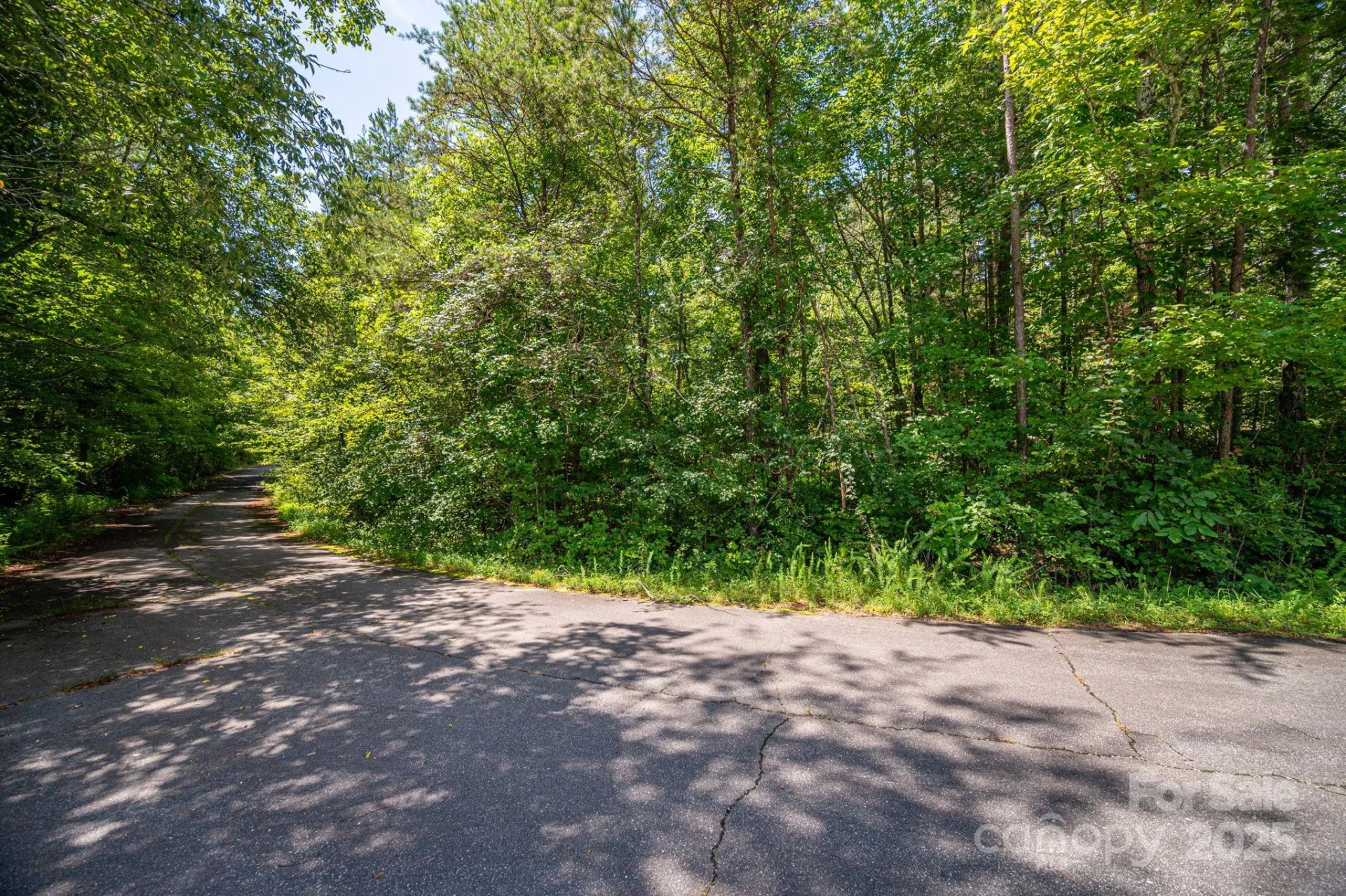 Lot 40 Line Drive - Photo 4