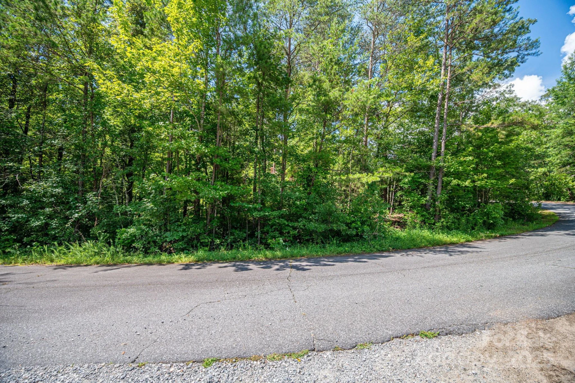 Lot 40 Line Drive - Photo 6