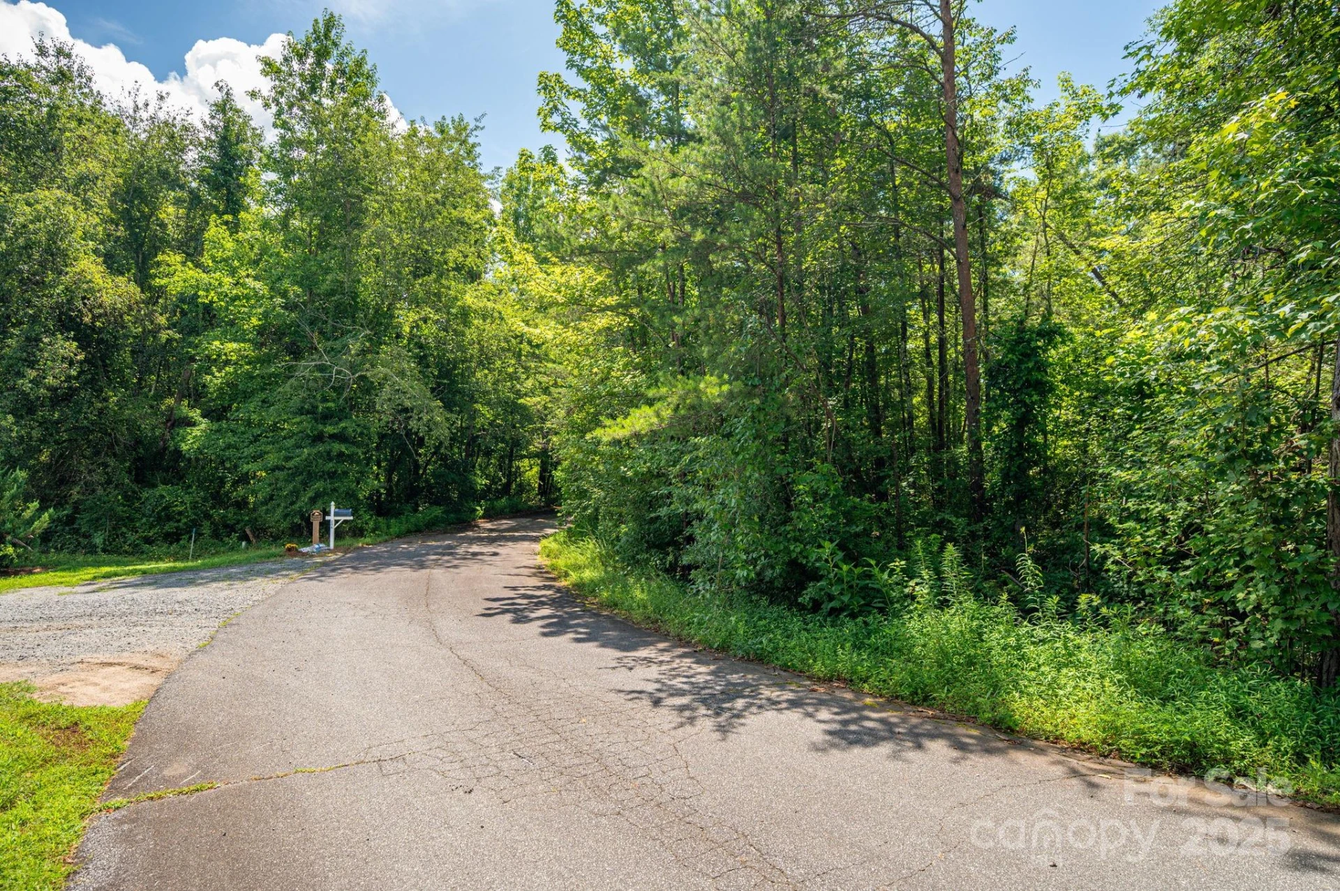 Lot 40 Line Drive - Photo 7