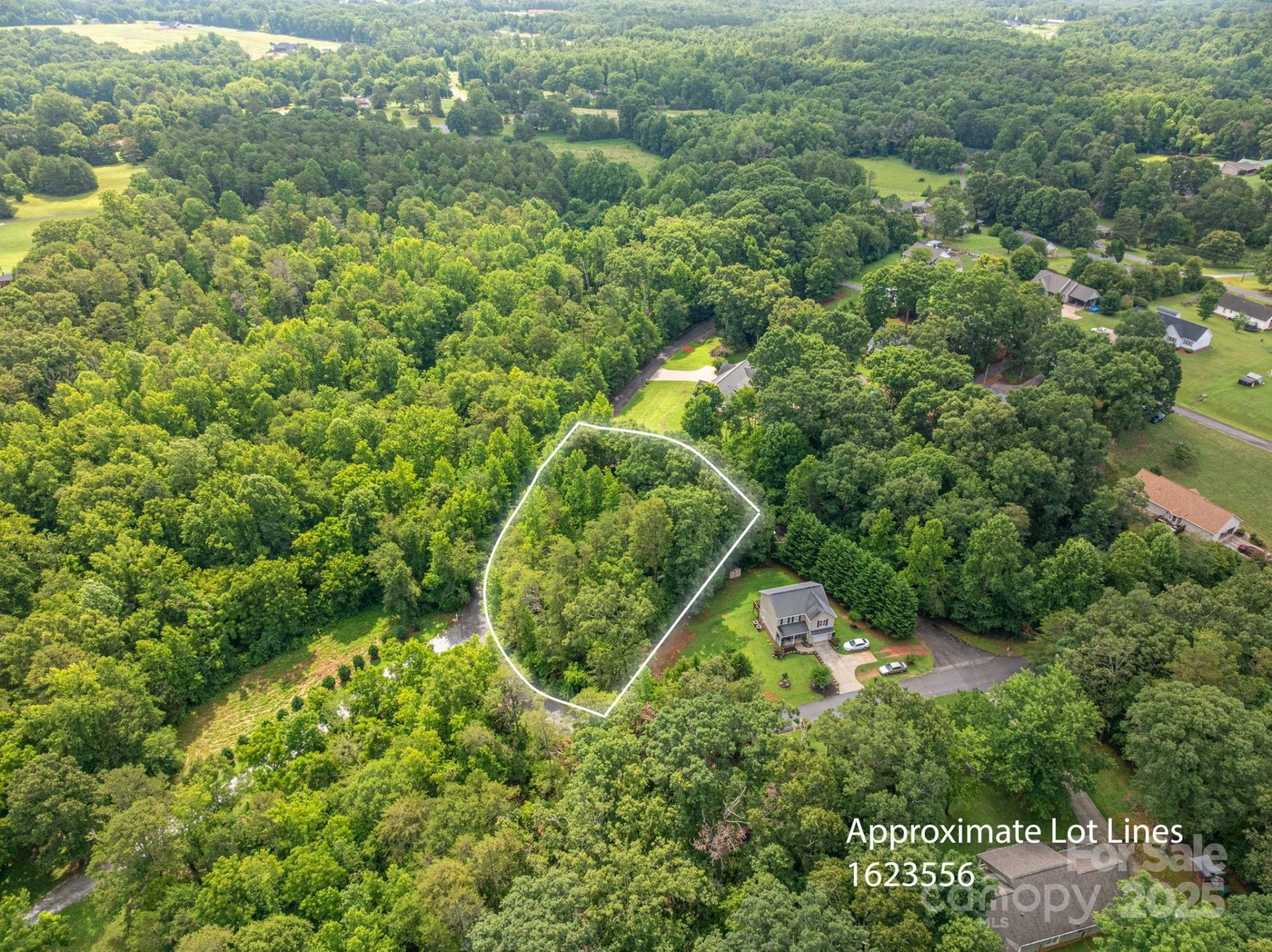 Lot 40 Line Drive - Photo 9