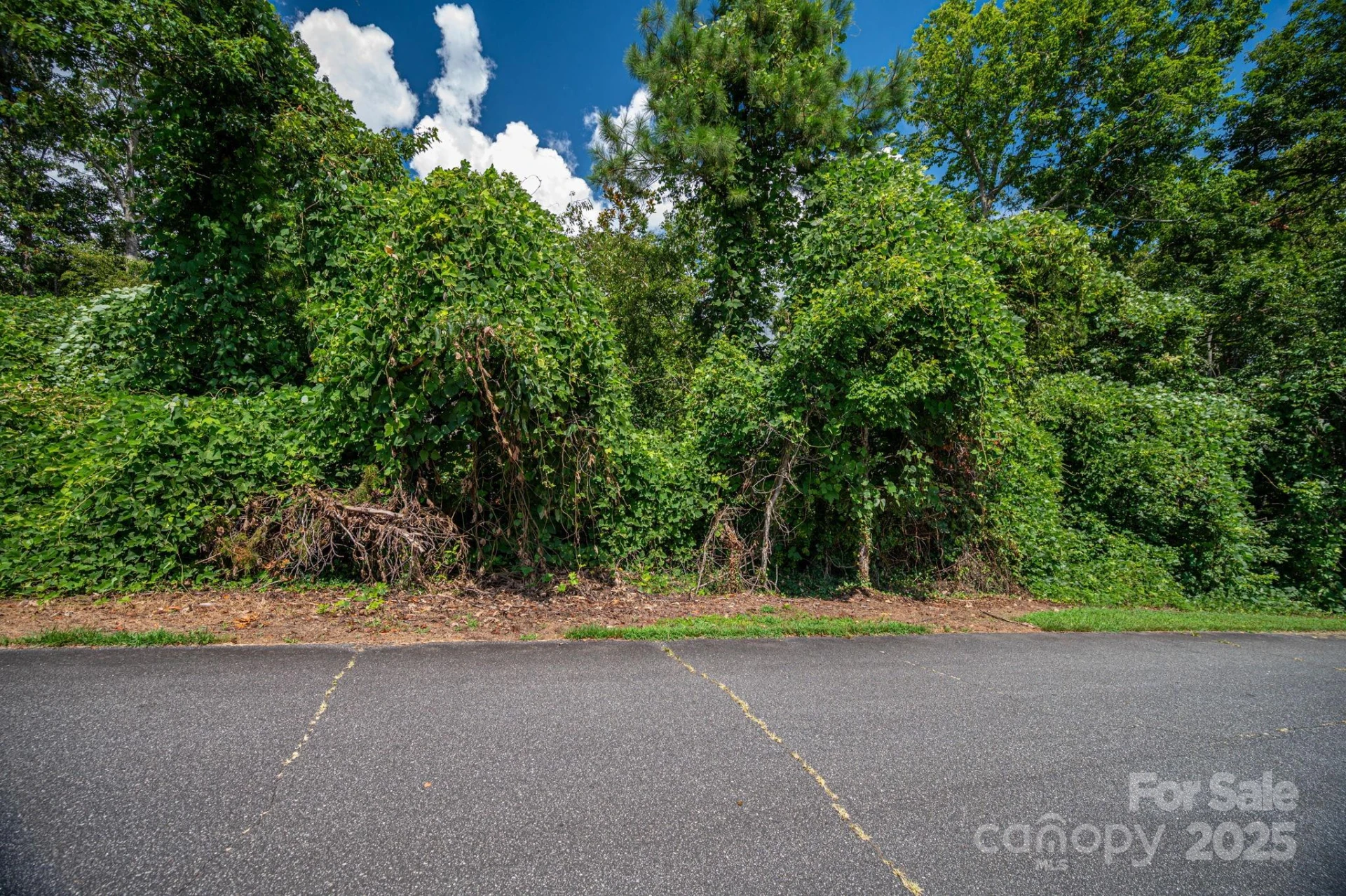 Lot 25 Line Drive - Photo 4