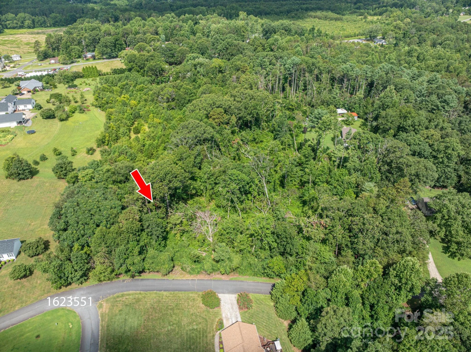 Lot 25 Line Drive - Photo 7