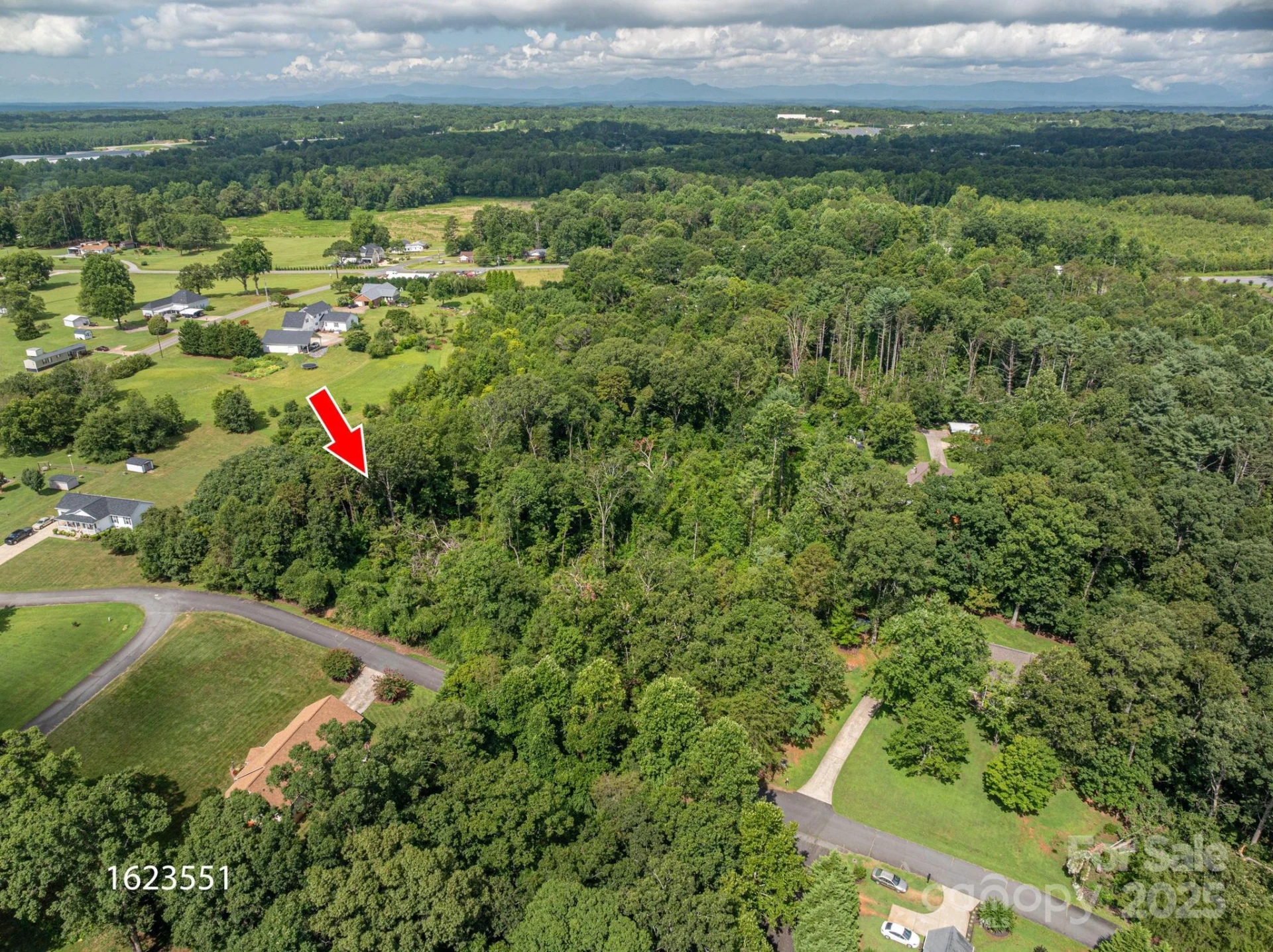 Lot 25 Line Drive - Photo 8