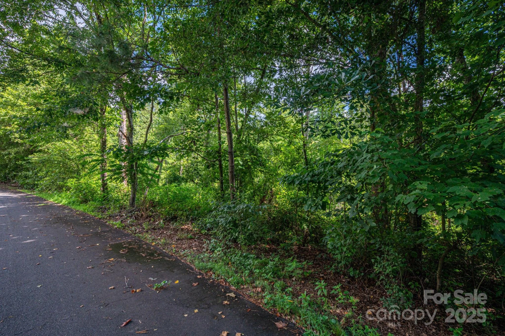 Lot 33 Line Drive - Photo 5