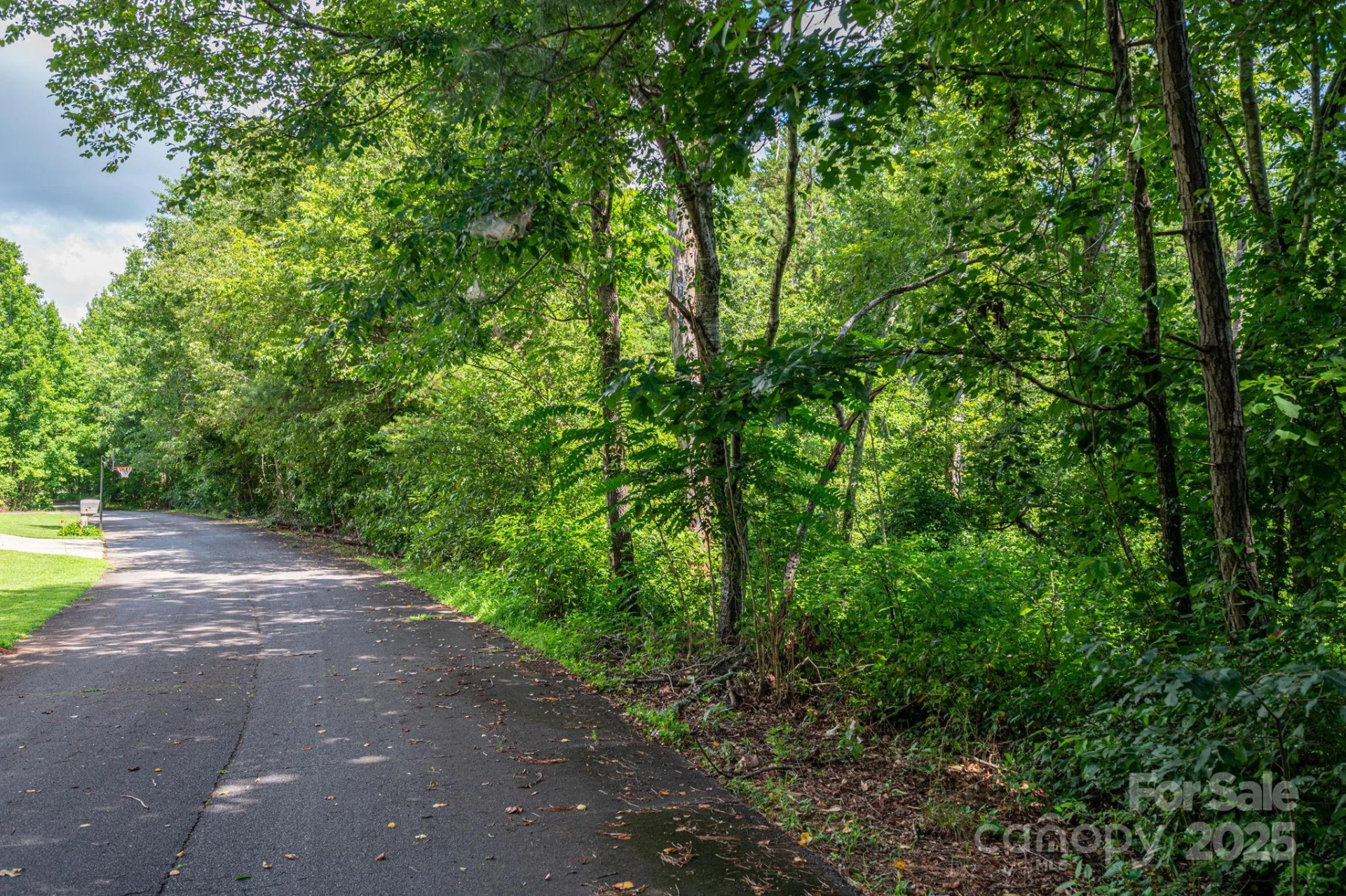 Lot 33 Line Drive - Photo 6