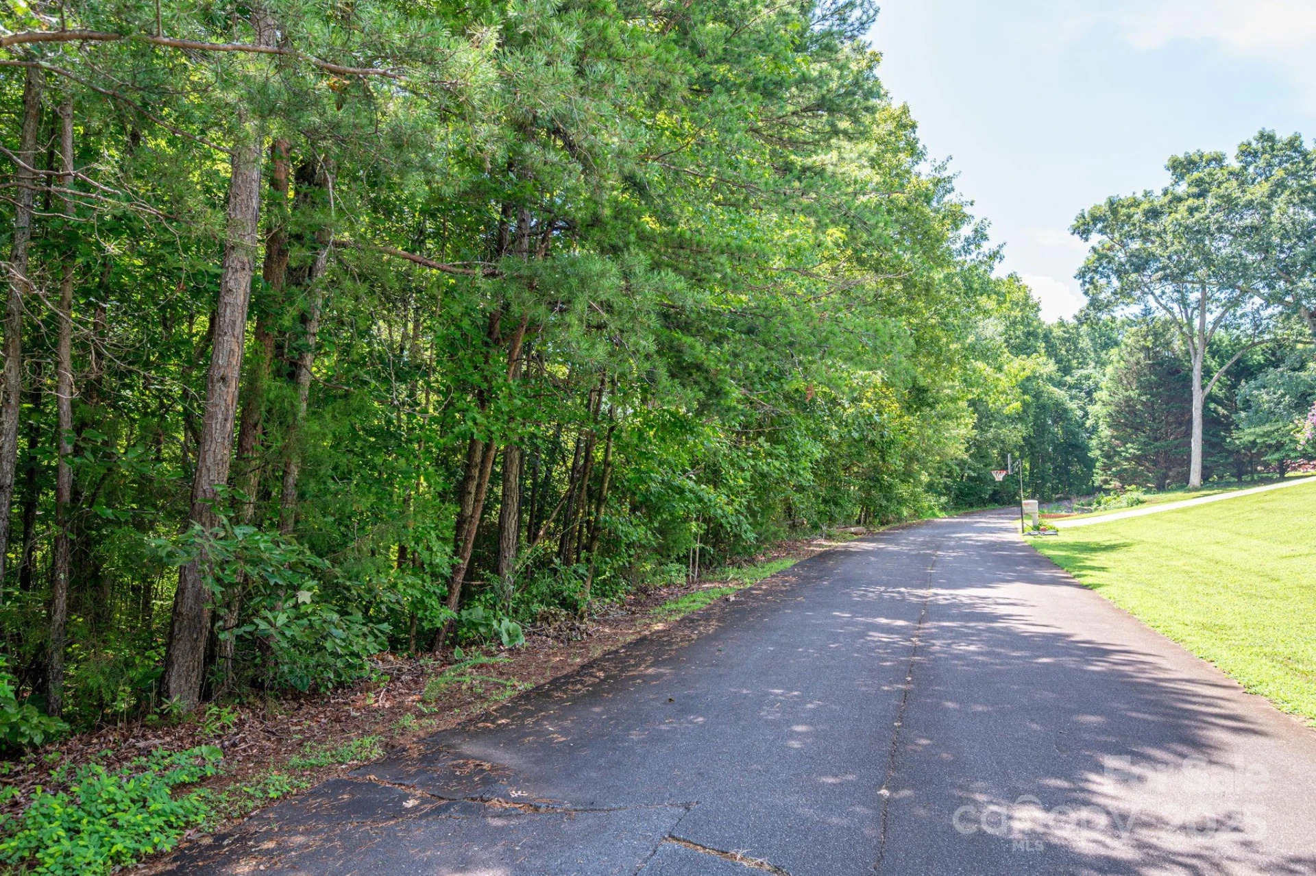 Lot 33 Line Drive - Photo 7