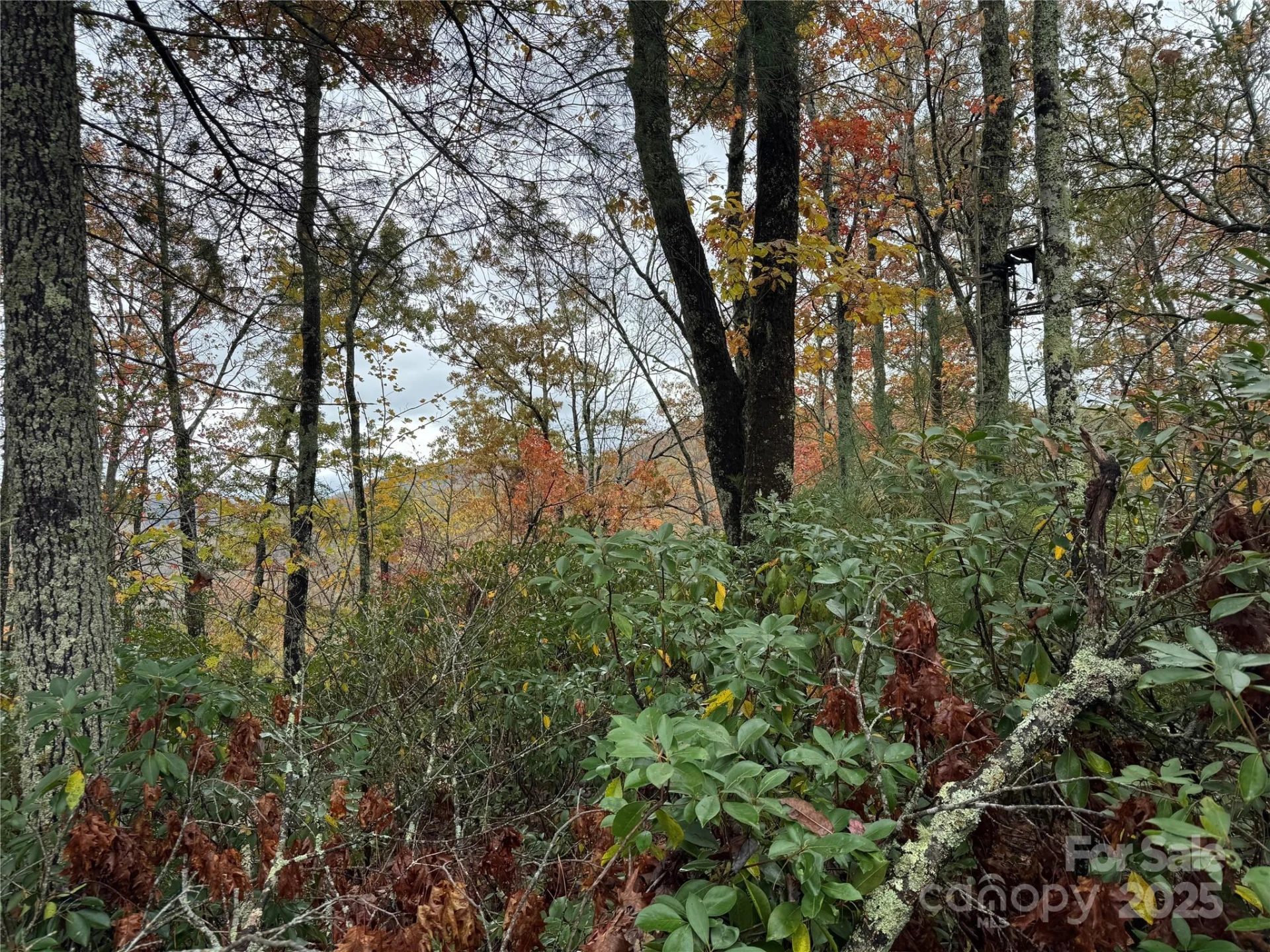 00 King Road - Photo 13