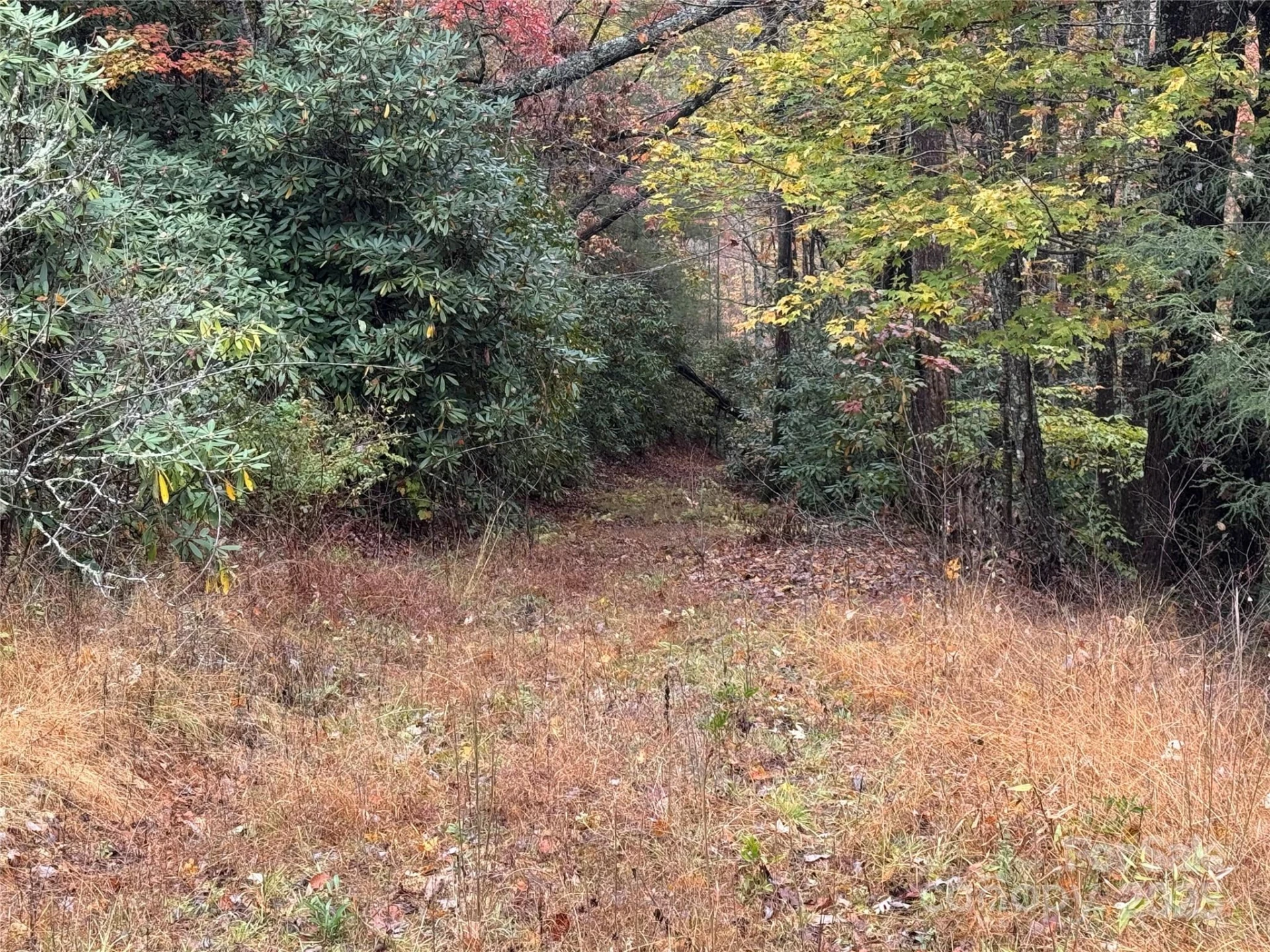 00 King Road - Photo 14