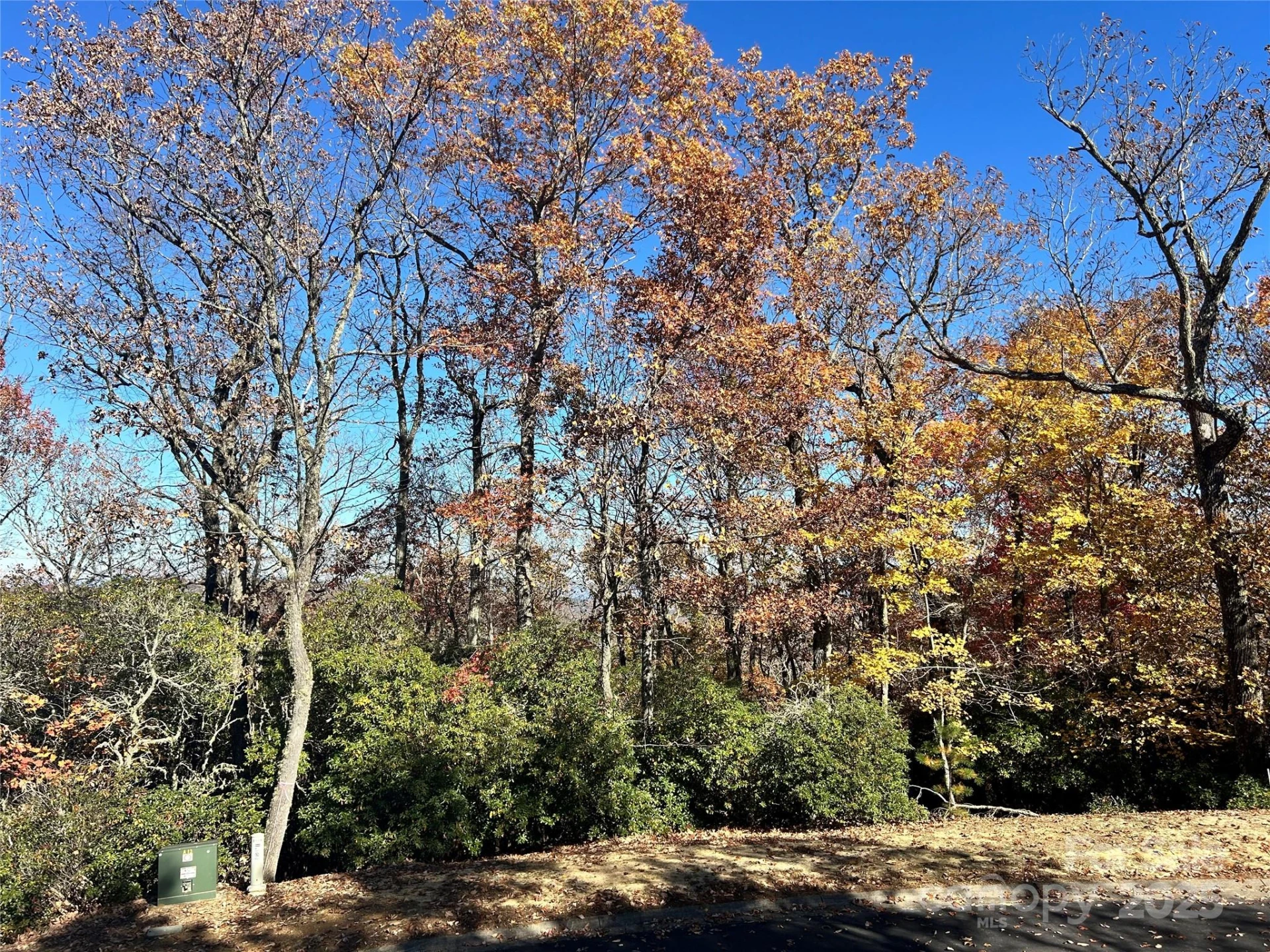 1114 Mills River Way - Photo 5