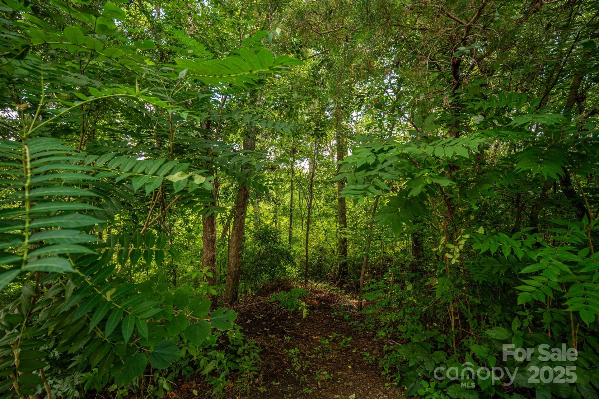 Lot 35 Line Drive - Photo 2