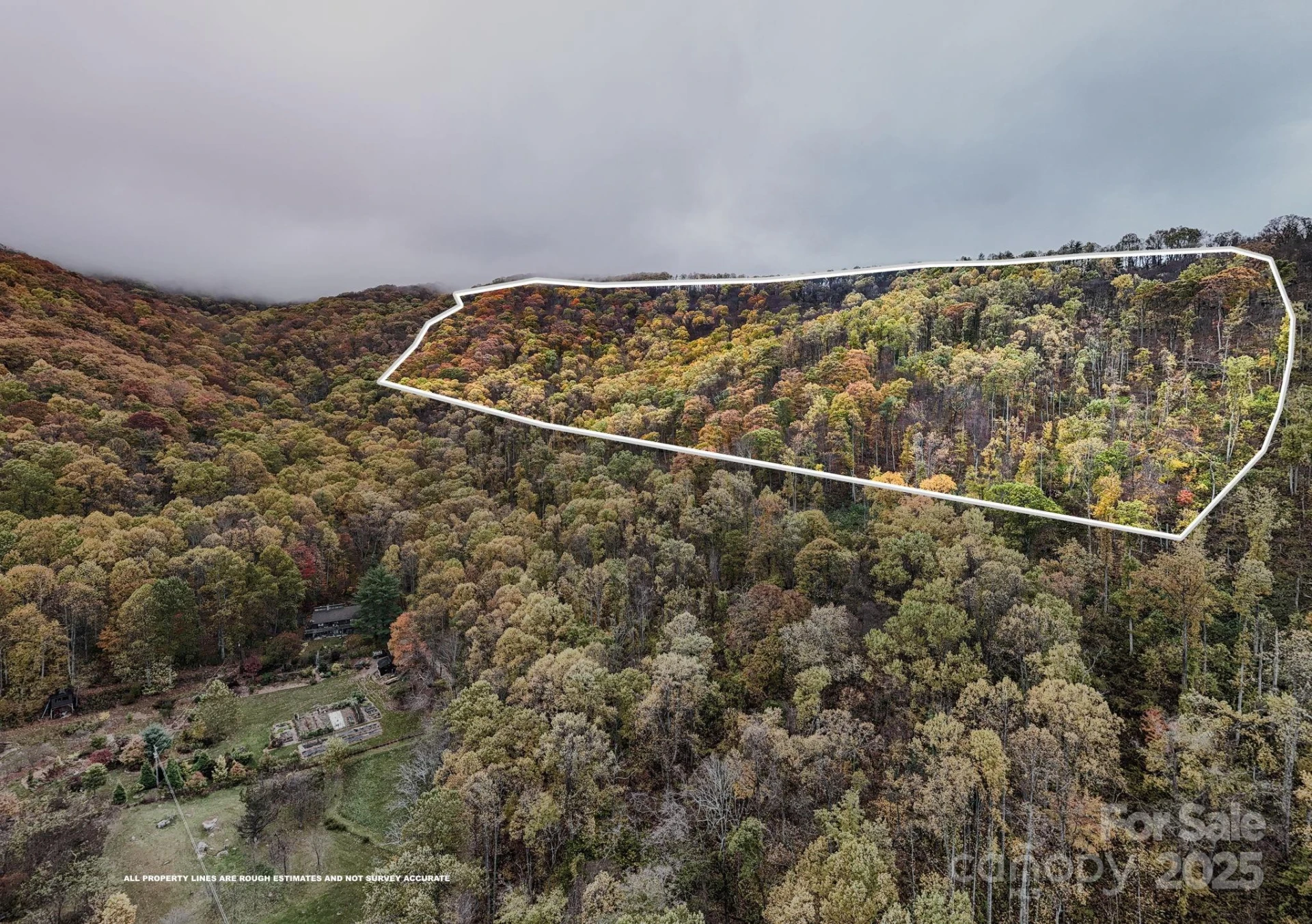 00 Ox Creek Road - Photo 2