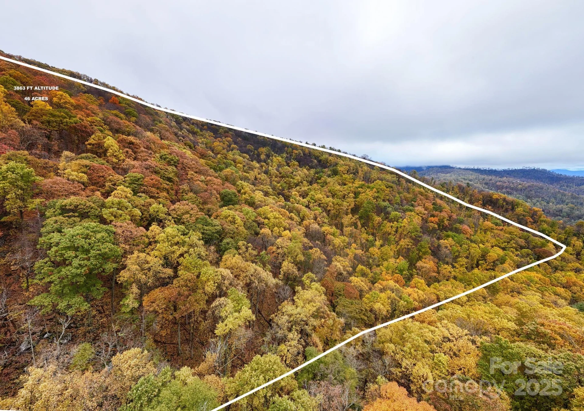 00 Ox Creek Road - Photo 4