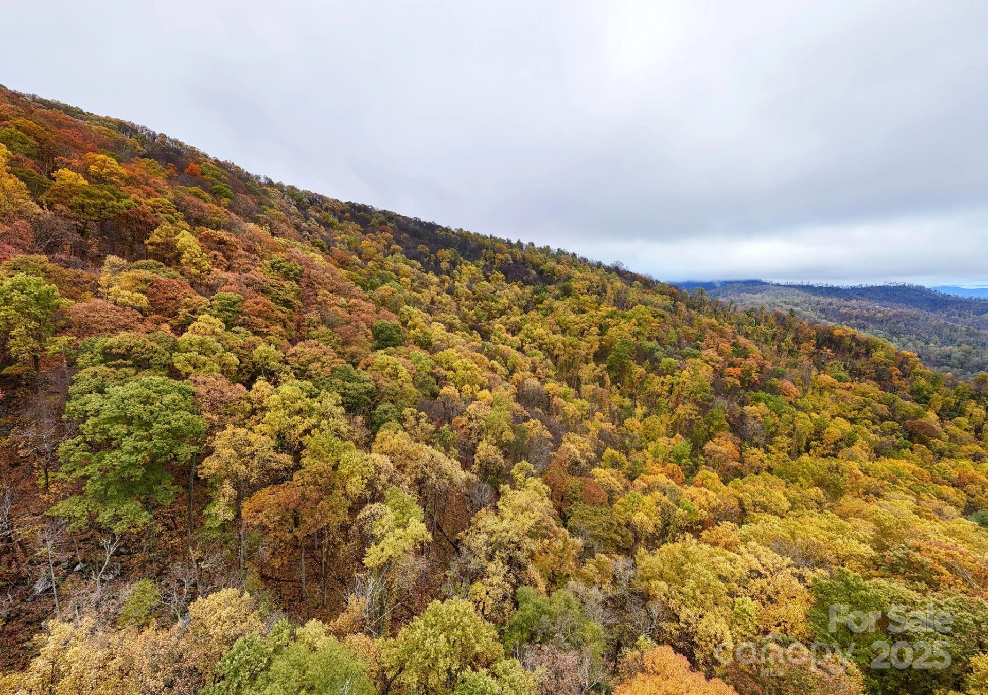 00 Ox Creek Road - Photo 6