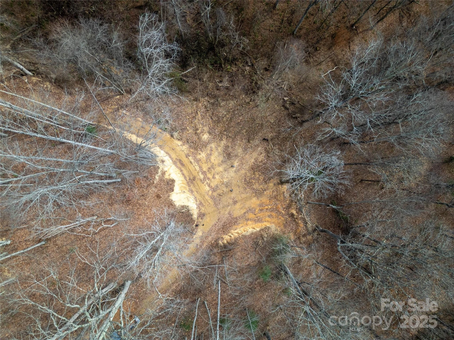 ### Grapevine Road - Photo 11