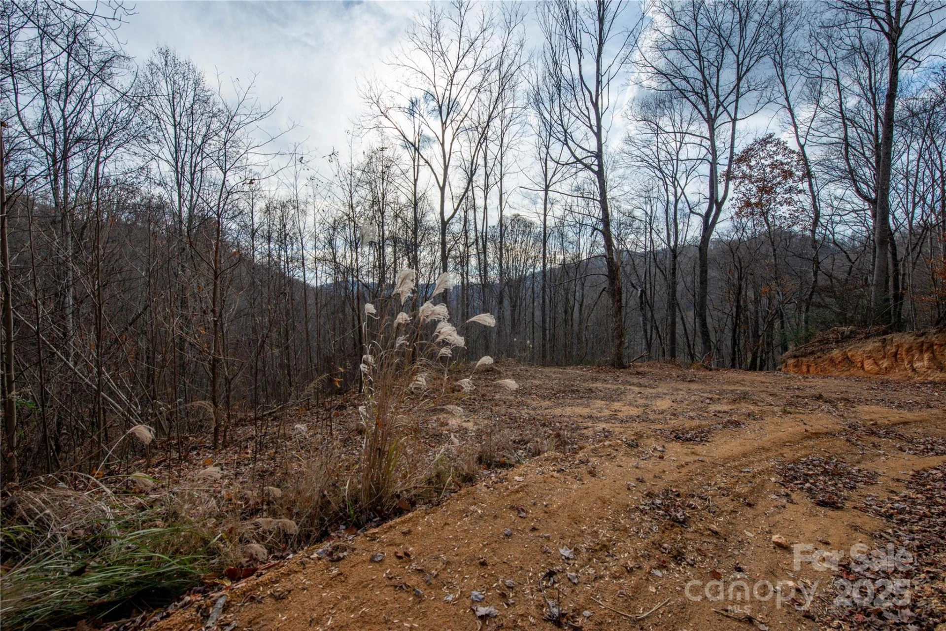 ### Grapevine Road - Photo 16