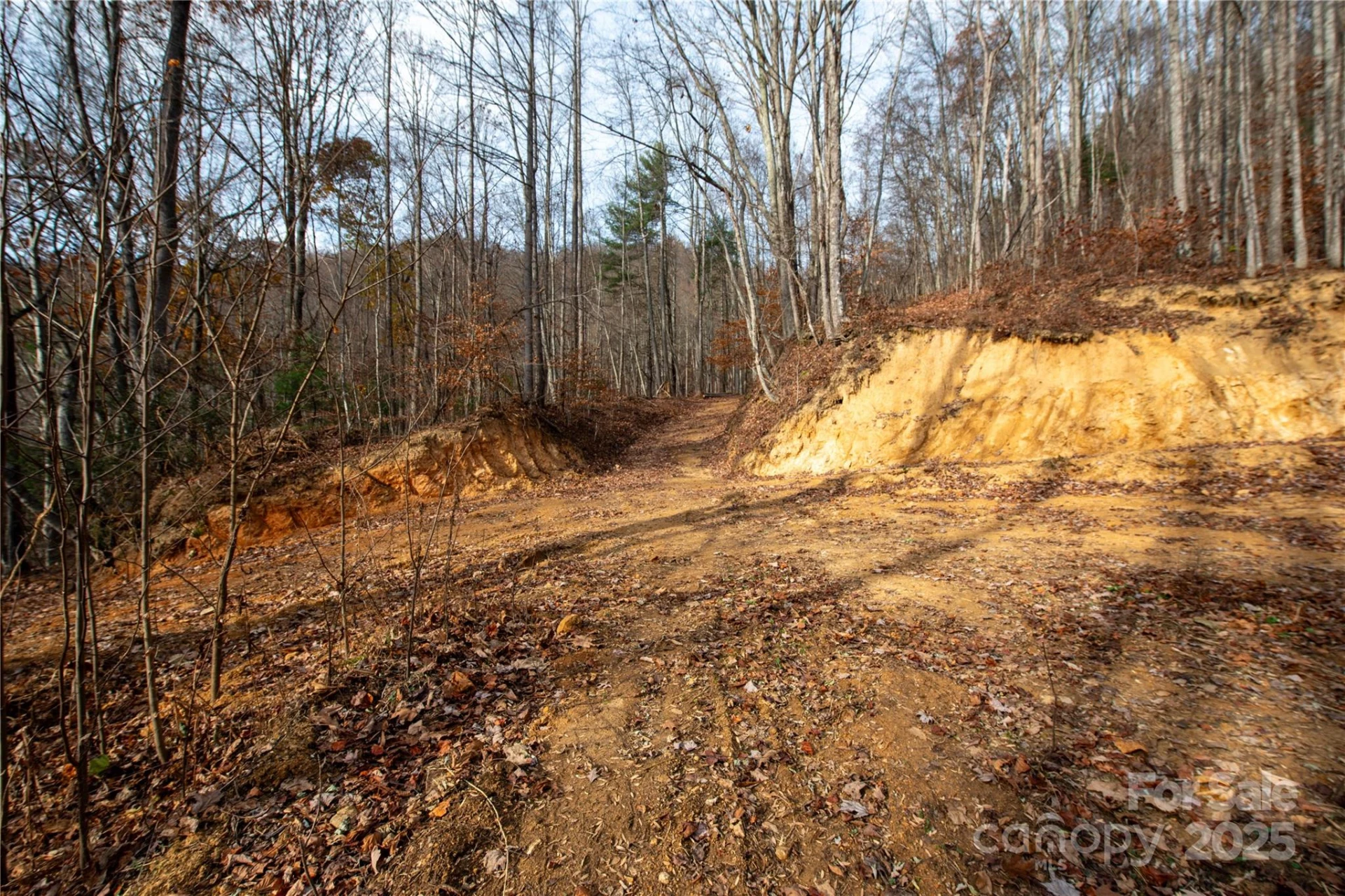 ### Grapevine Road - Photo 17