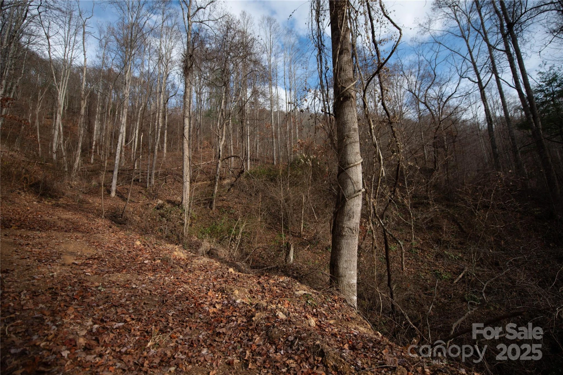 ### Grapevine Road - Photo 26