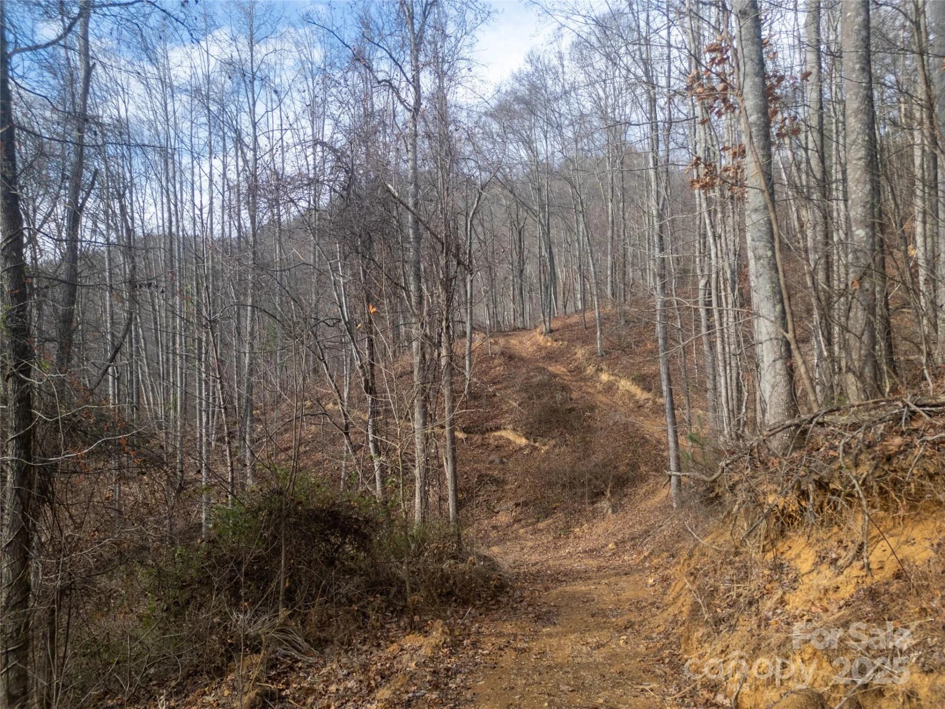### Grapevine Road - Photo 27