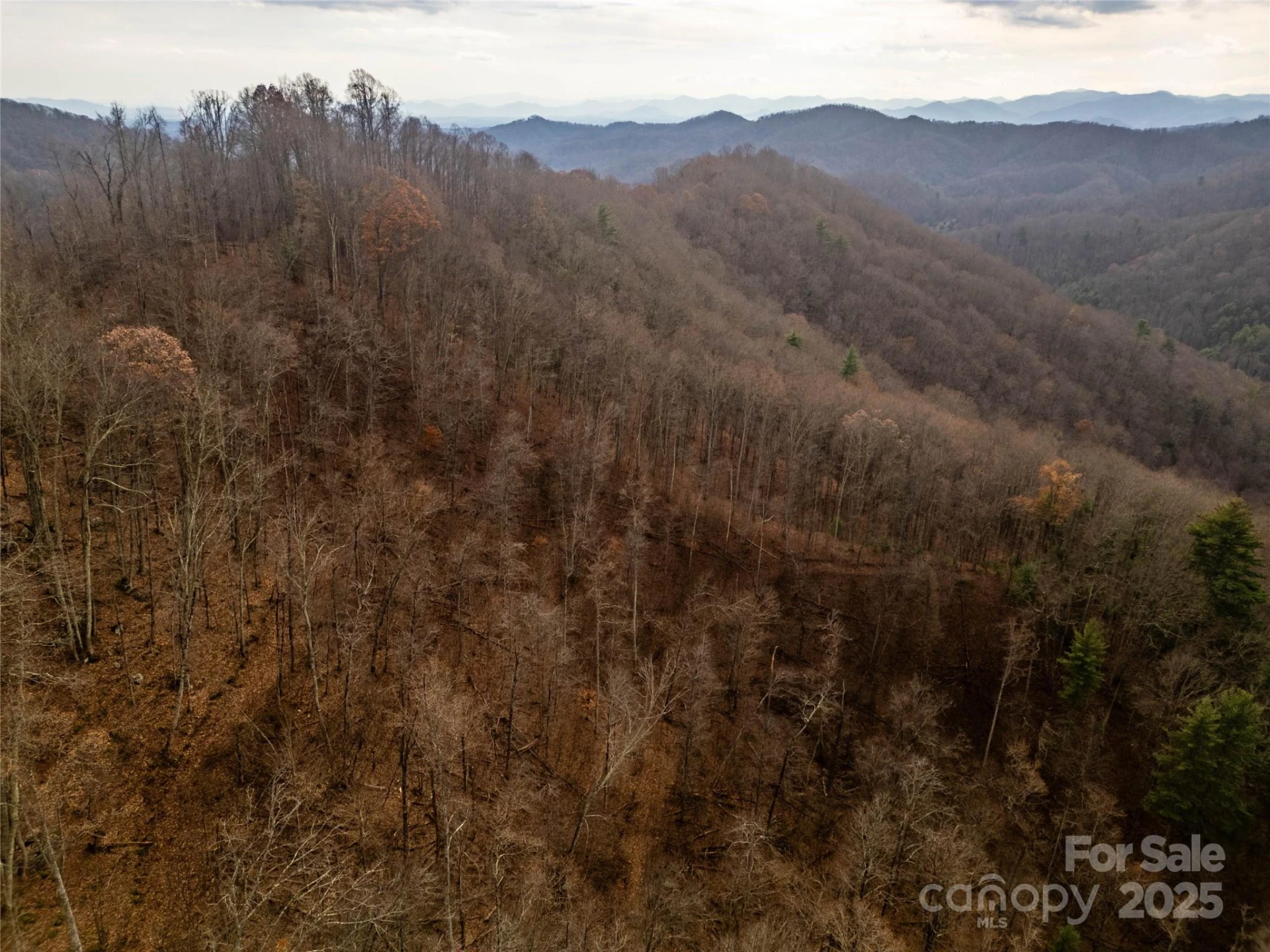 ### Grapevine Road - Photo 6