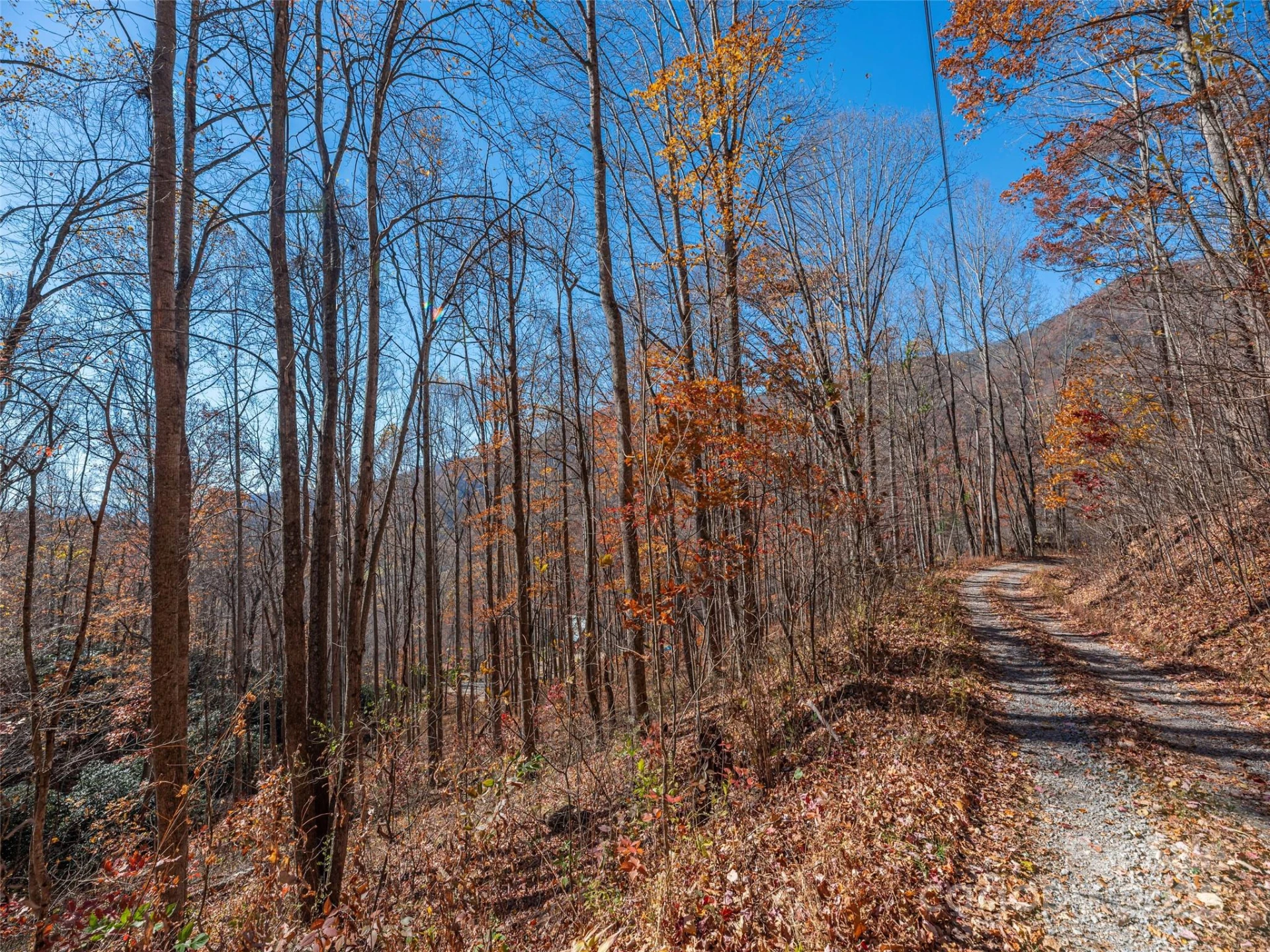 112 & 113 Grouse Road - Photo 4