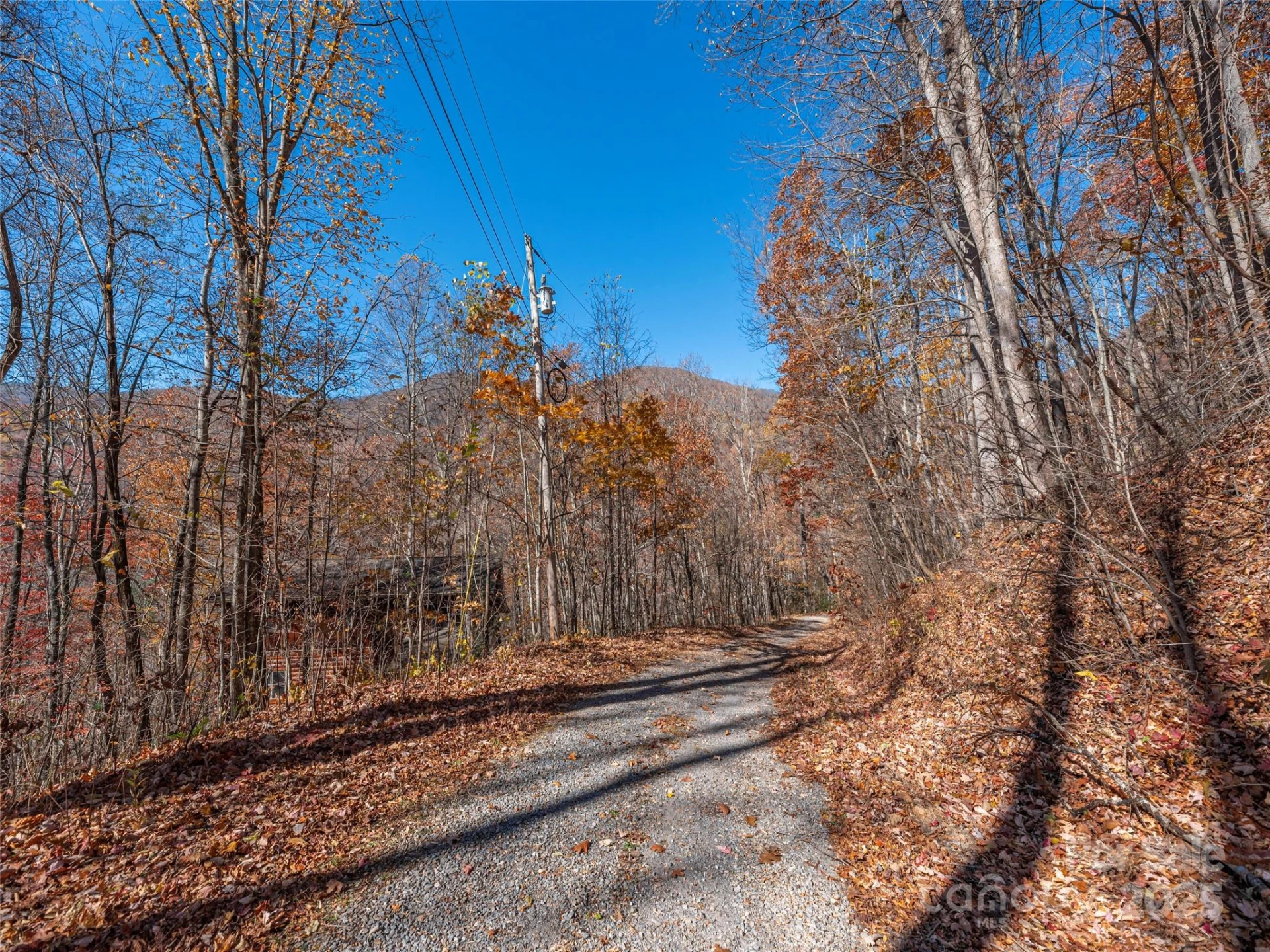 112 & 113 Grouse Road - Photo 5
