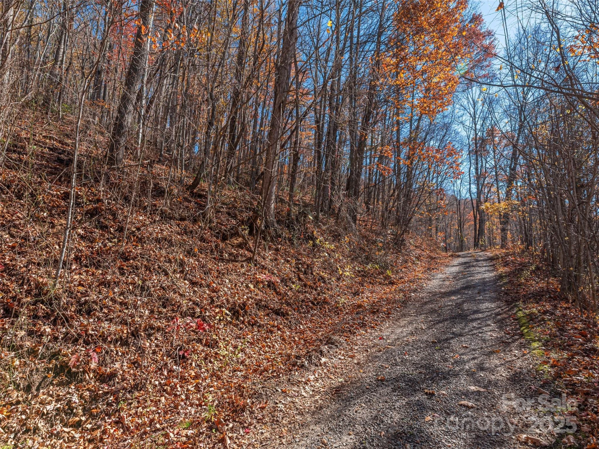 112 & 113 Grouse Road - Photo 7