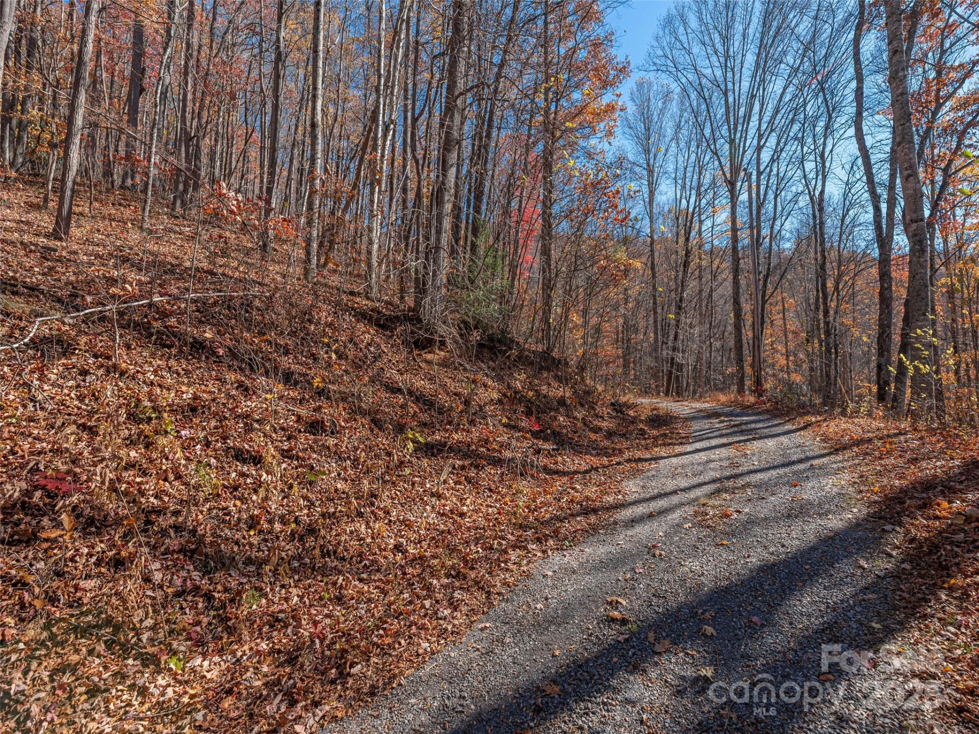 112 & 113 Grouse Road - Photo 8