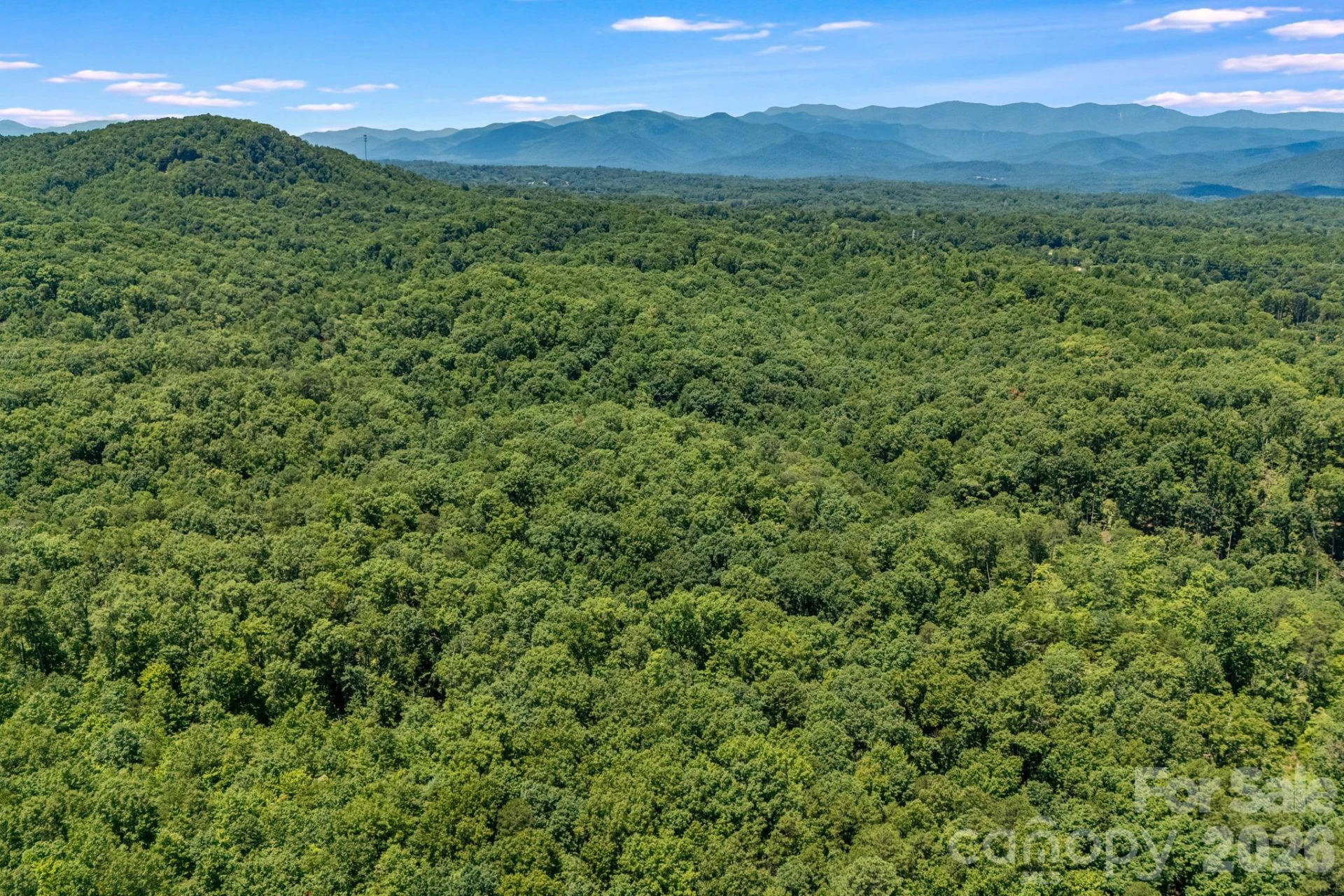 240 Ravenswood Drive - Photo 36
