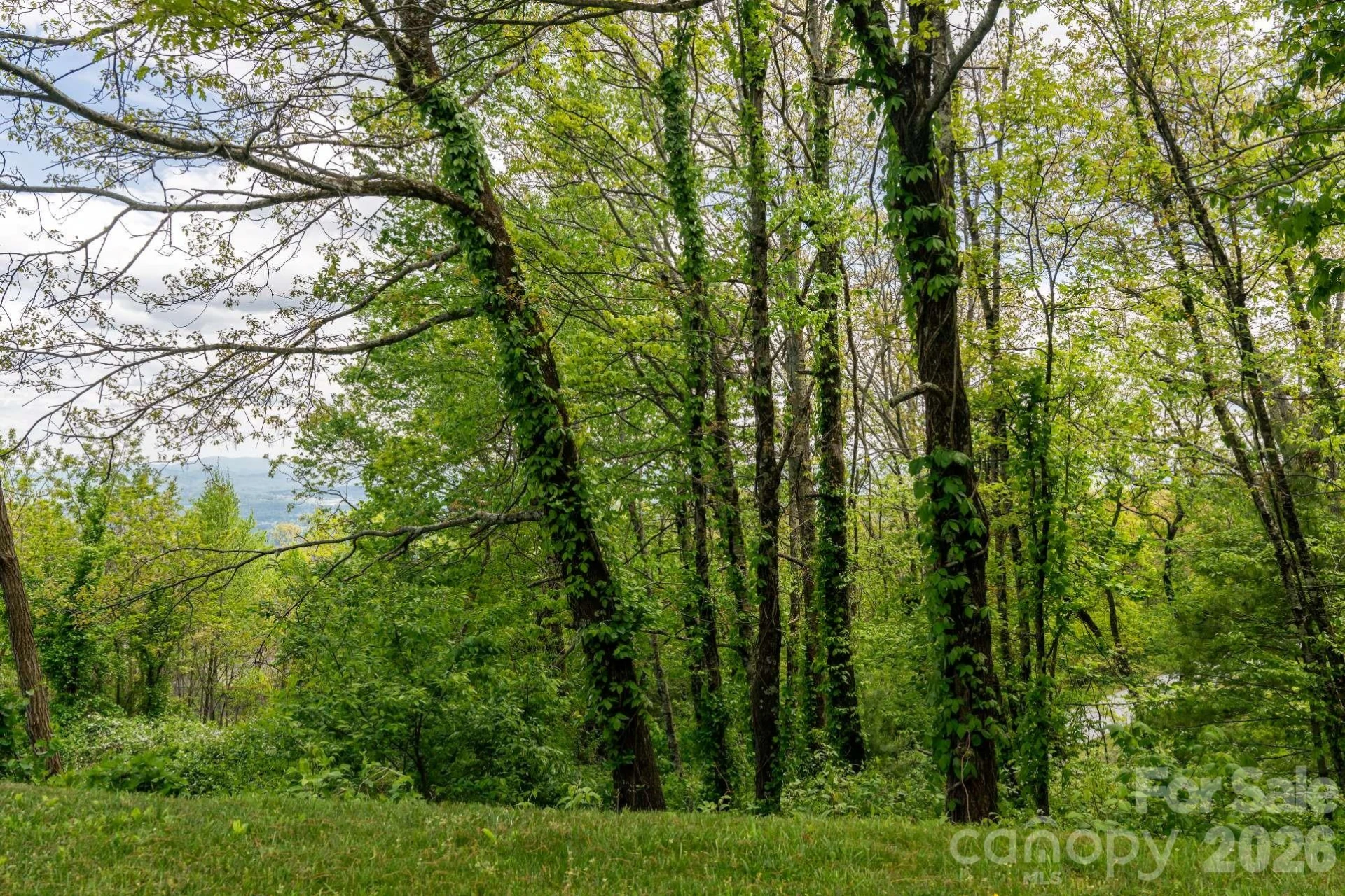 416 Summerset Drive #83 - Photo 15