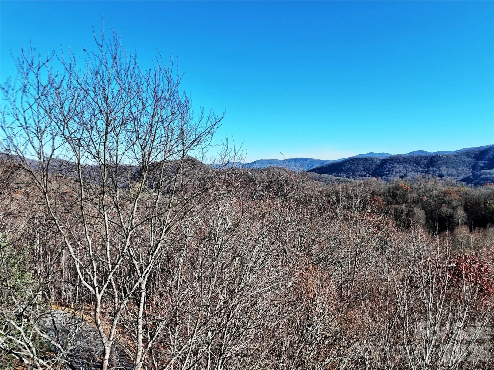 00 Mountain Watch Drive #1 - Photo 25