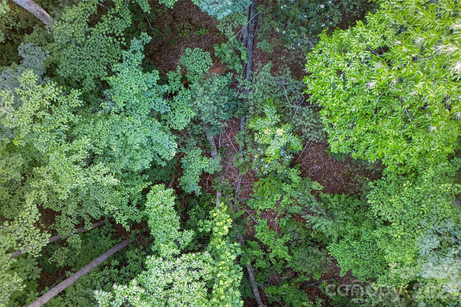 00 Yancey Road - Photo 16