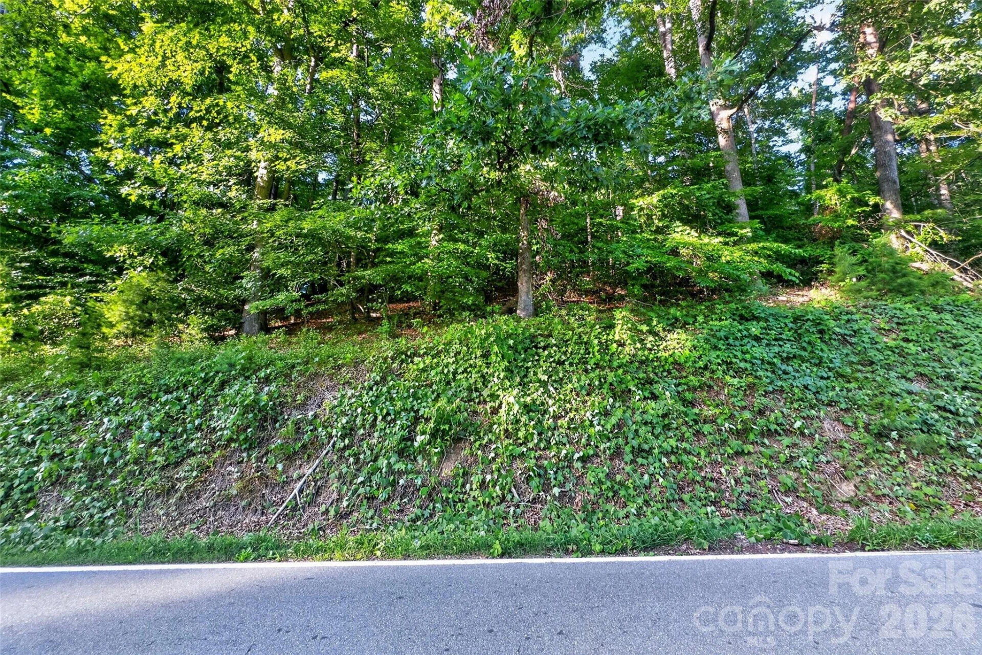 00 Yancey Road - Photo 20